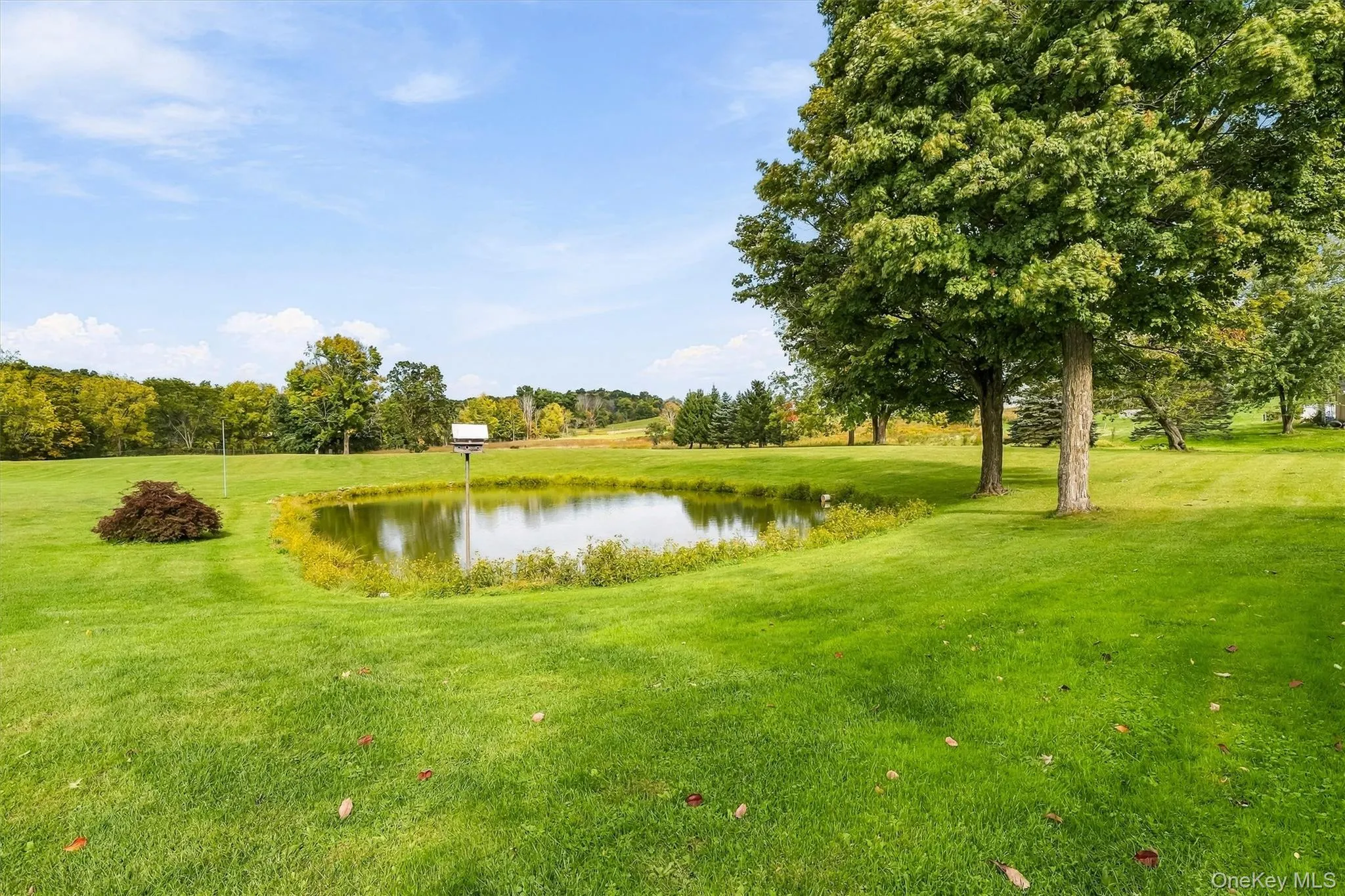 200 Mt Orange Road, Wawayanda, NY, 4 Bedrooms Bedrooms, 10 Rooms Rooms,3 BathroomsBathrooms,Residential,For Rent,Mt Orange,0,1054660 200 Mt Orange Road, Wawayanda, NY, 4 Bedrooms Bedrooms, 10 Rooms Rooms,3 BathroomsBathrooms,Residential,For Rent,Mt Orange,0,1054660