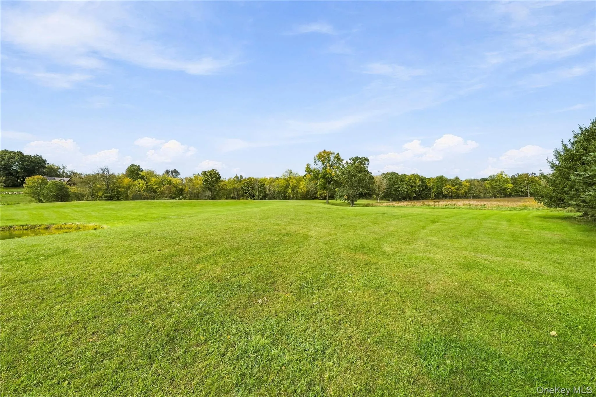 200 Mt Orange Road, Wawayanda, NY, 4 Bedrooms Bedrooms, 10 Rooms Rooms,3 BathroomsBathrooms,Residential,For Rent,Mt Orange,0,1054660 200 Mt Orange Road, Wawayanda, NY, 4 Bedrooms Bedrooms, 10 Rooms Rooms,3 BathroomsBathrooms,Residential,For Rent,Mt Orange,0,1054660