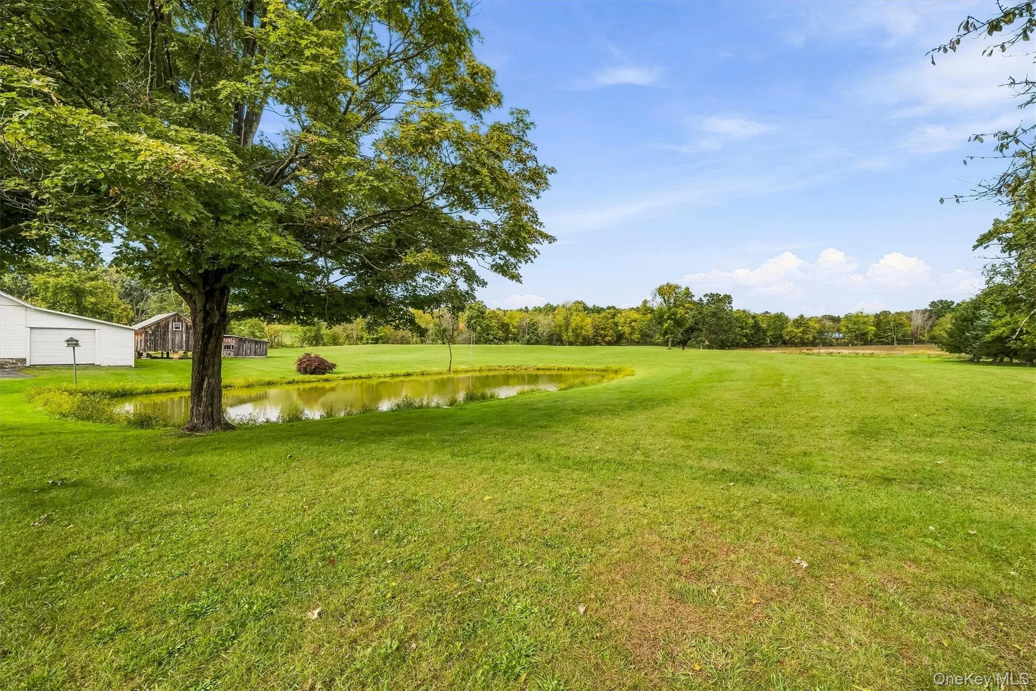 200 Mt Orange Road, Wawayanda, NY, 4 Bedrooms Bedrooms, 10 Rooms Rooms,3 BathroomsBathrooms,Residential,For Rent,Mt Orange,0,1054660 200 Mt Orange Road, Wawayanda, NY, 4 Bedrooms Bedrooms, 10 Rooms Rooms,3 BathroomsBathrooms,Residential,For Rent,Mt Orange,0,1054660