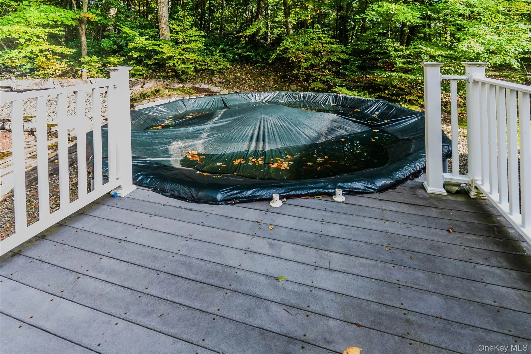 Deck with white railings and an in-ground pool, surrounded by mature trees Deck with white railings and an in-ground pool, surrounded by mature trees