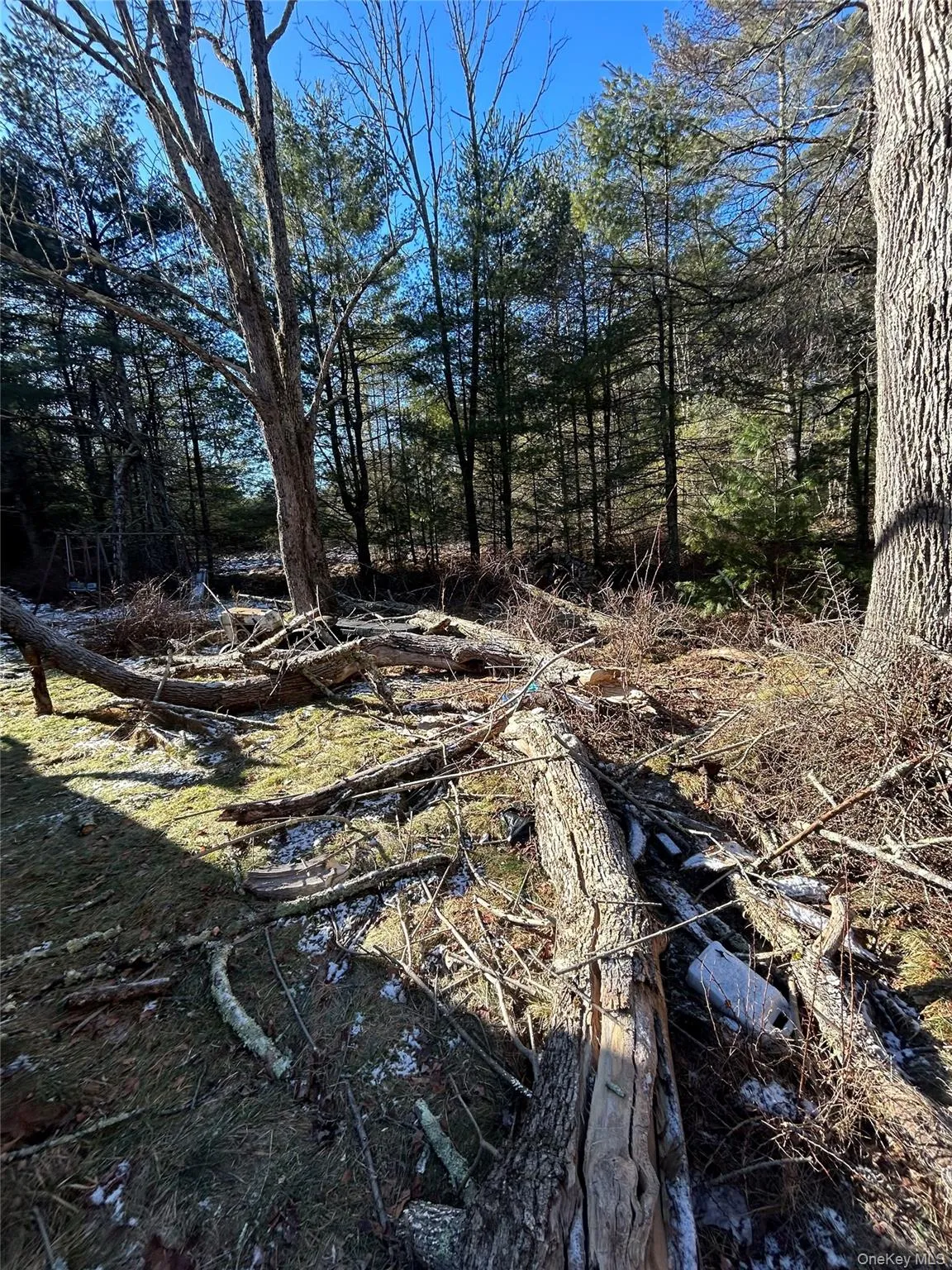 92 Whitehead Road, Deerpark, NY, 3 Bedrooms Bedrooms, 5 Rooms Rooms,1 BathroomBathrooms,Residential,For Rent,Whitehead,0,1054717 92 Whitehead Road, Deerpark, NY, 3 Bedrooms Bedrooms, 5 Rooms Rooms,1 BathroomBathrooms,Residential,For Rent,Whitehead,0,1054717