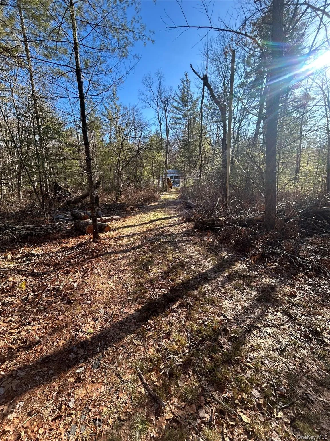 92 Whitehead Road, Deerpark, NY, 3 Bedrooms Bedrooms, 5 Rooms Rooms,1 BathroomBathrooms,Residential,For Rent,Whitehead,0,1054717 92 Whitehead Road, Deerpark, NY, 3 Bedrooms Bedrooms, 5 Rooms Rooms,1 BathroomBathrooms,Residential,For Rent,Whitehead,0,1054717