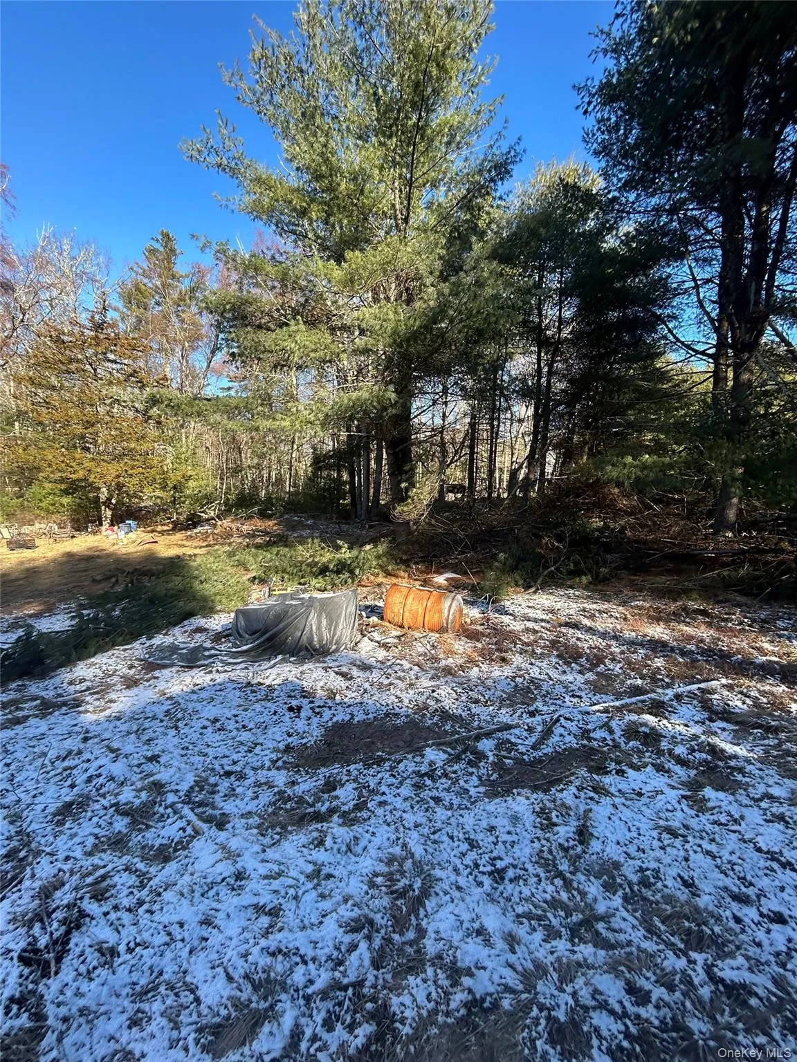 92 Whitehead Road, Deerpark, NY, 3 Bedrooms Bedrooms, 5 Rooms Rooms,1 BathroomBathrooms,Residential,For Rent,Whitehead,0,1054717 92 Whitehead Road, Deerpark, NY, 3 Bedrooms Bedrooms, 5 Rooms Rooms,1 BathroomBathrooms,Residential,For Rent,Whitehead,0,1054717