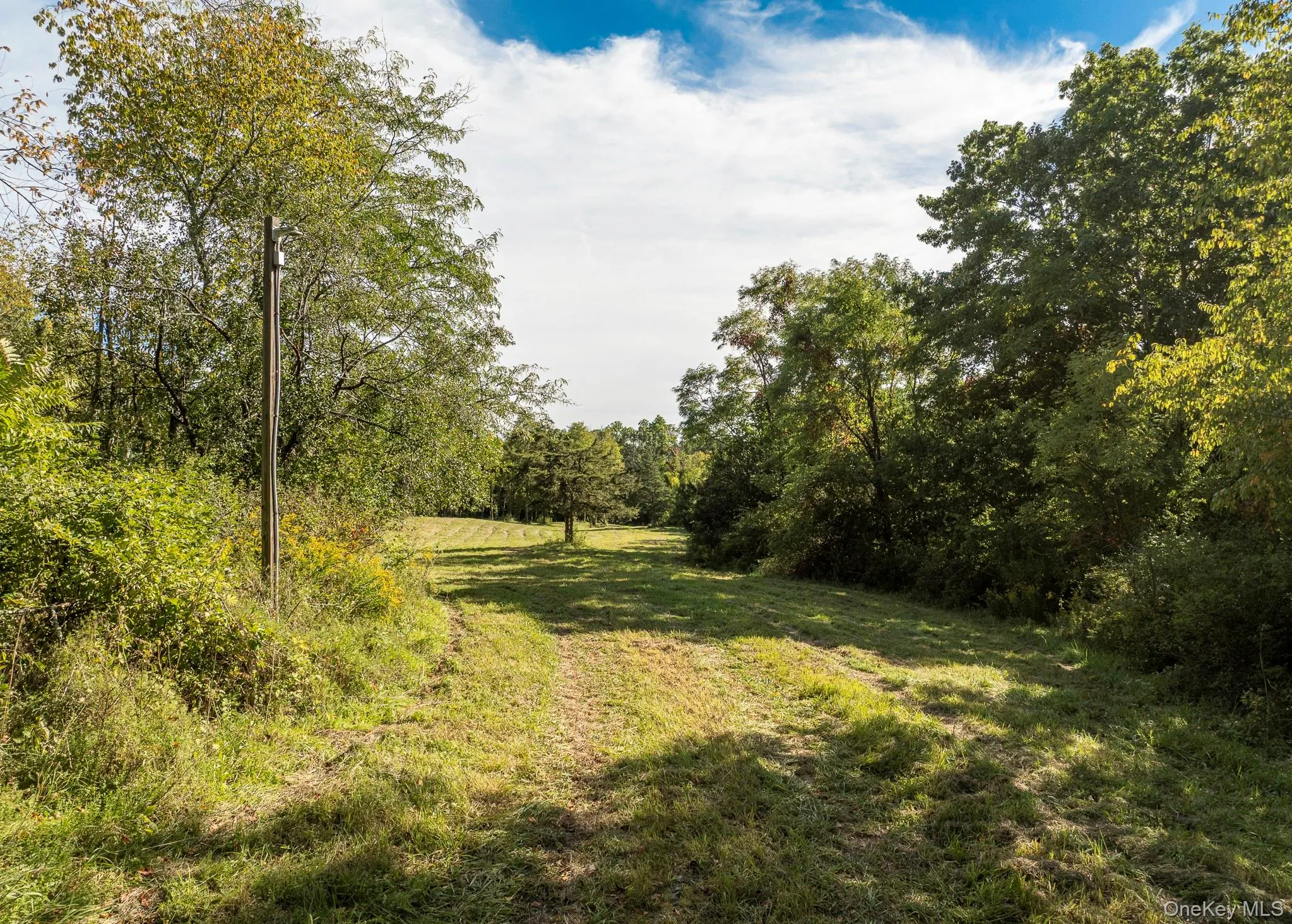 544 Willow Brook Road, Stanford, NY, 2 Bedrooms Bedrooms, 6 Rooms Rooms,2 BathroomsBathrooms,Residential,For Rent,Willow Brook,0,1054718 544 Willow Brook Road, Stanford, NY, 2 Bedrooms Bedrooms, 6 Rooms Rooms,2 BathroomsBathrooms,Residential,For Rent,Willow Brook,0,1054718