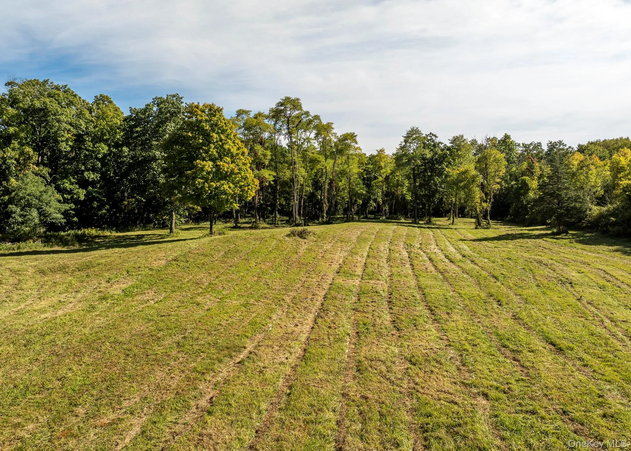 544 Willow Brook Road, Stanford, NY, 2 Bedrooms Bedrooms, 6 Rooms Rooms,2 BathroomsBathrooms,Residential,For Rent,Willow Brook,0,1054718 544 Willow Brook Road, Stanford, NY, 2 Bedrooms Bedrooms, 6 Rooms Rooms,2 BathroomsBathrooms,Residential,For Rent,Willow Brook,0,1054718