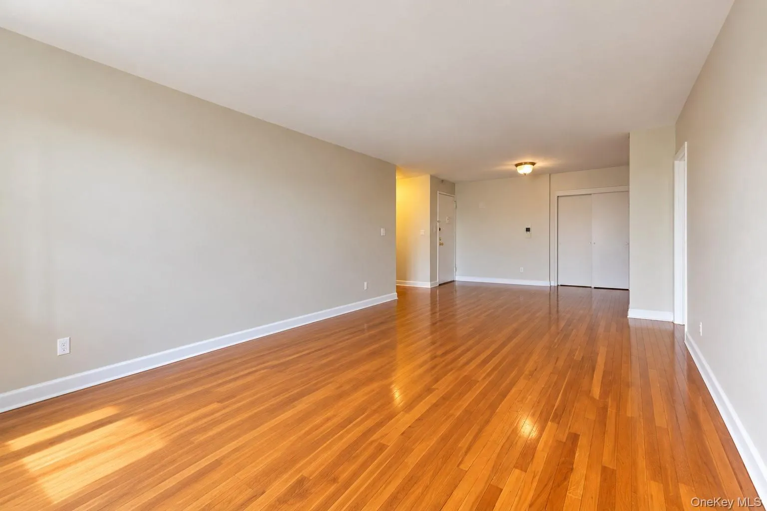 Living Room with contents virtually removed Living Room with contents virtually removed