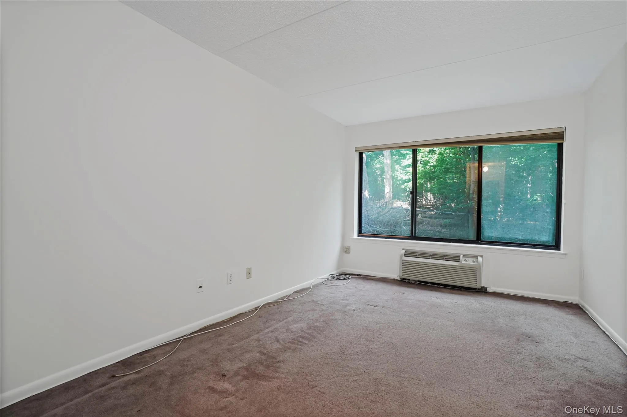 One of two large bedrooms. This one has a walk-in closet. One of two large bedrooms. This one has a walk-in closet.