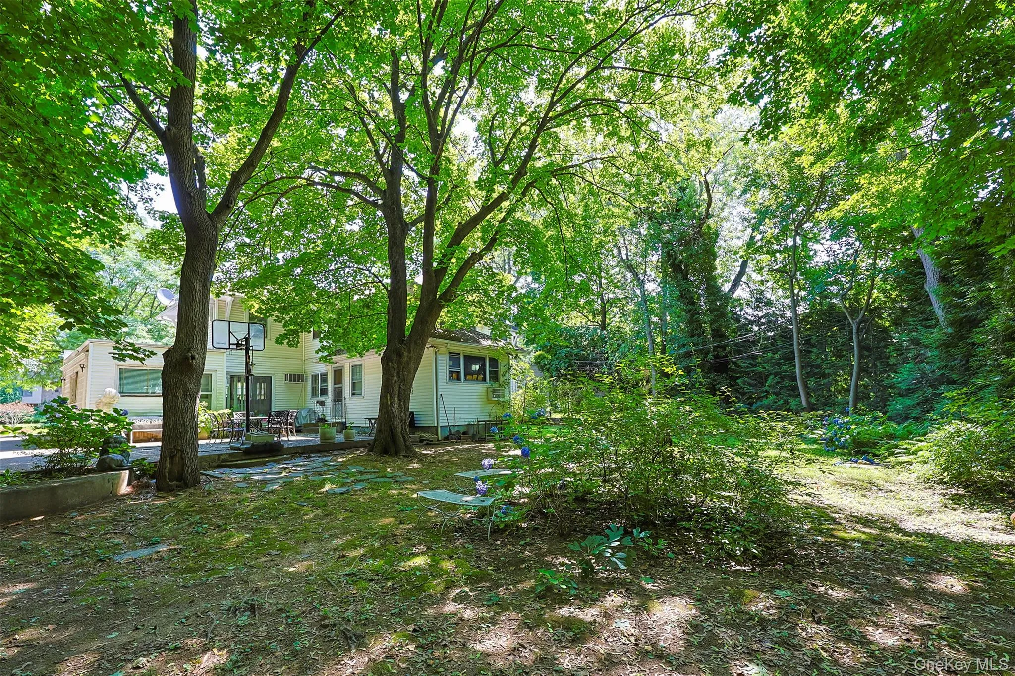 14 Clover Drive, North Hempstead, NY, 4 Bedrooms Bedrooms, 10 Rooms Rooms,2 BathroomsBathrooms,Residential,For Rent,Clover,0,1054868 14 Clover Drive, North Hempstead, NY, 4 Bedrooms Bedrooms, 10 Rooms Rooms,2 BathroomsBathrooms,Residential,For Rent,Clover,0,1054868