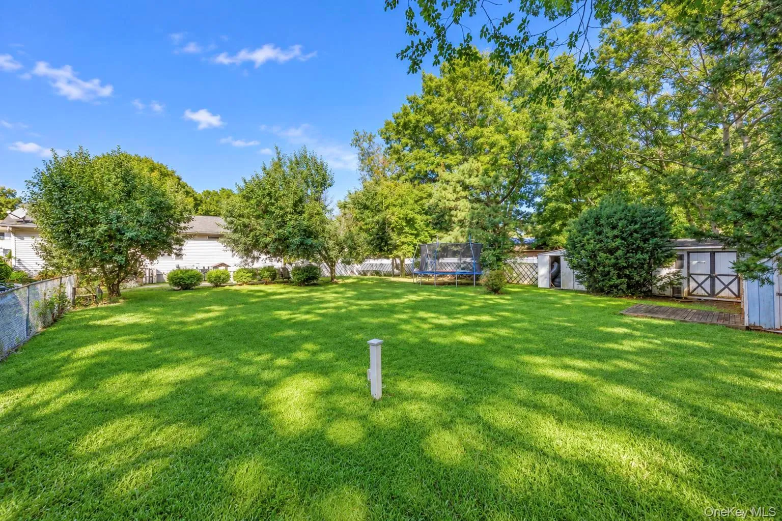 Expansive lawn area with mature trees and a chain-link fence Expansive lawn area with mature trees and a chain-link fence