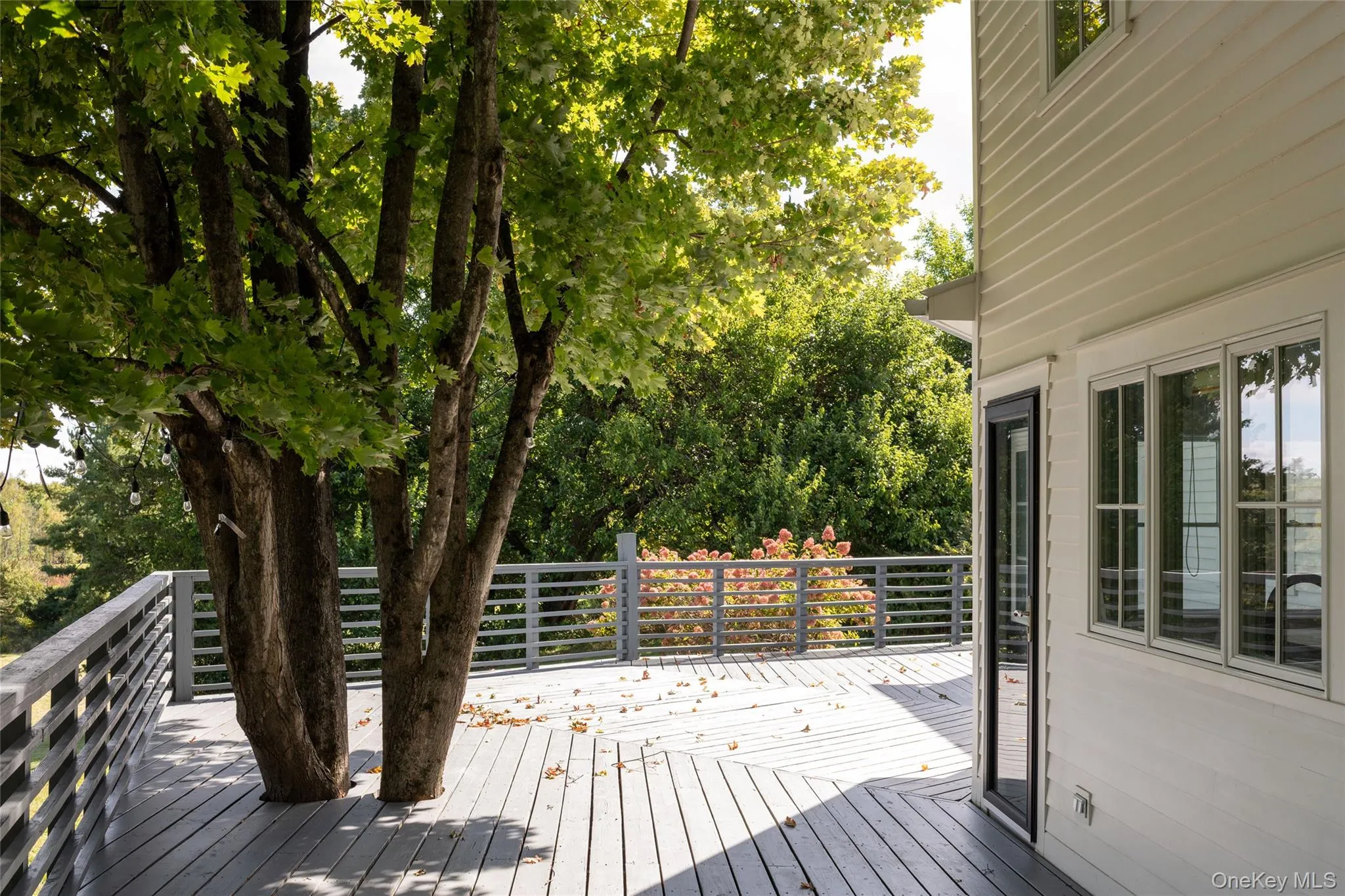 367 Viewmont Road, Germantown, NY, 4 Bedrooms Bedrooms, 9 Rooms Rooms,2 BathroomsBathrooms,Residential,For Rent,Viewmont,0,1054946 367 Viewmont Road, Germantown, NY, 4 Bedrooms Bedrooms, 9 Rooms Rooms,2 BathroomsBathrooms,Residential,For Rent,Viewmont,0,1054946