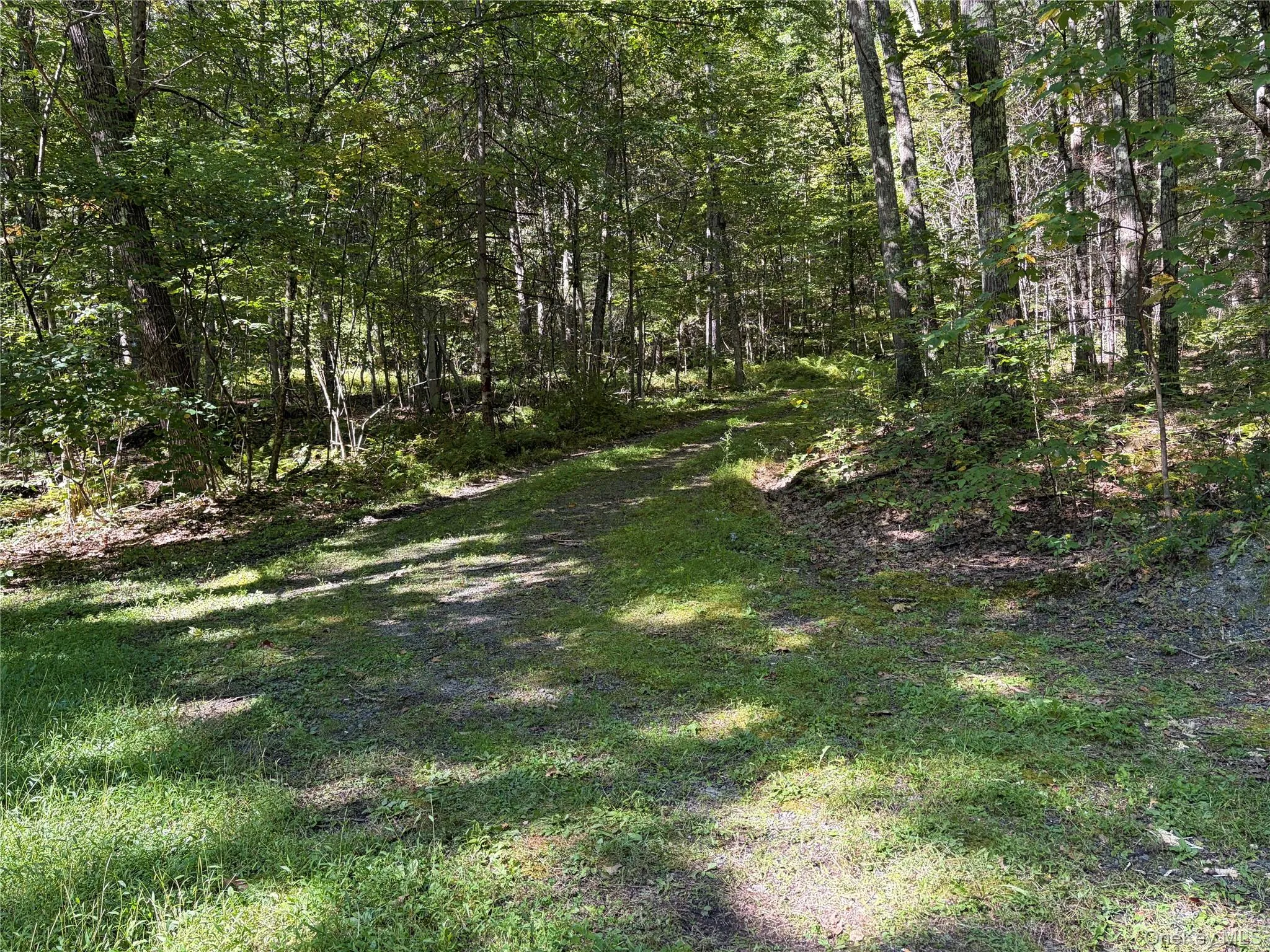 Driveway Driveway
