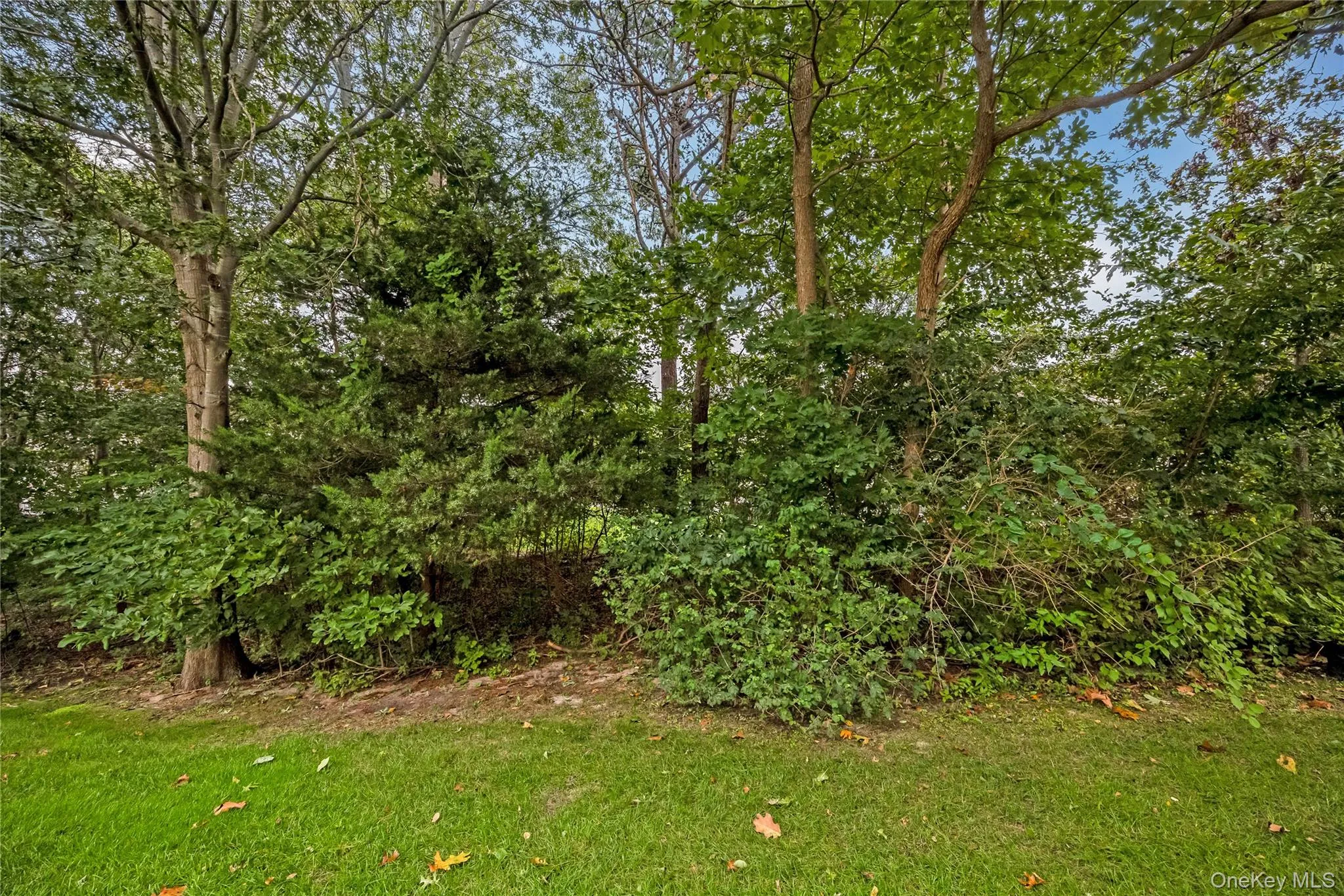 218 Kettles Lane, Brookhaven, NY, 2 Bedrooms Bedrooms, 7 Rooms Rooms,2 BathroomsBathrooms,Residential,For Rent,Kettles,0,1055023 218 Kettles Lane, Brookhaven, NY, 2 Bedrooms Bedrooms, 7 Rooms Rooms,2 BathroomsBathrooms,Residential,For Rent,Kettles,0,1055023