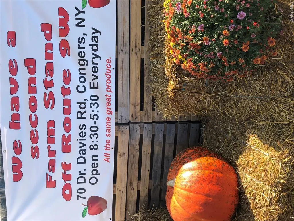 SO MUCH TO DO IN THE AREA ! APPLE & PUMKING PICKING SO MUCH TO DO IN THE AREA ! APPLE & PUMKING PICKING