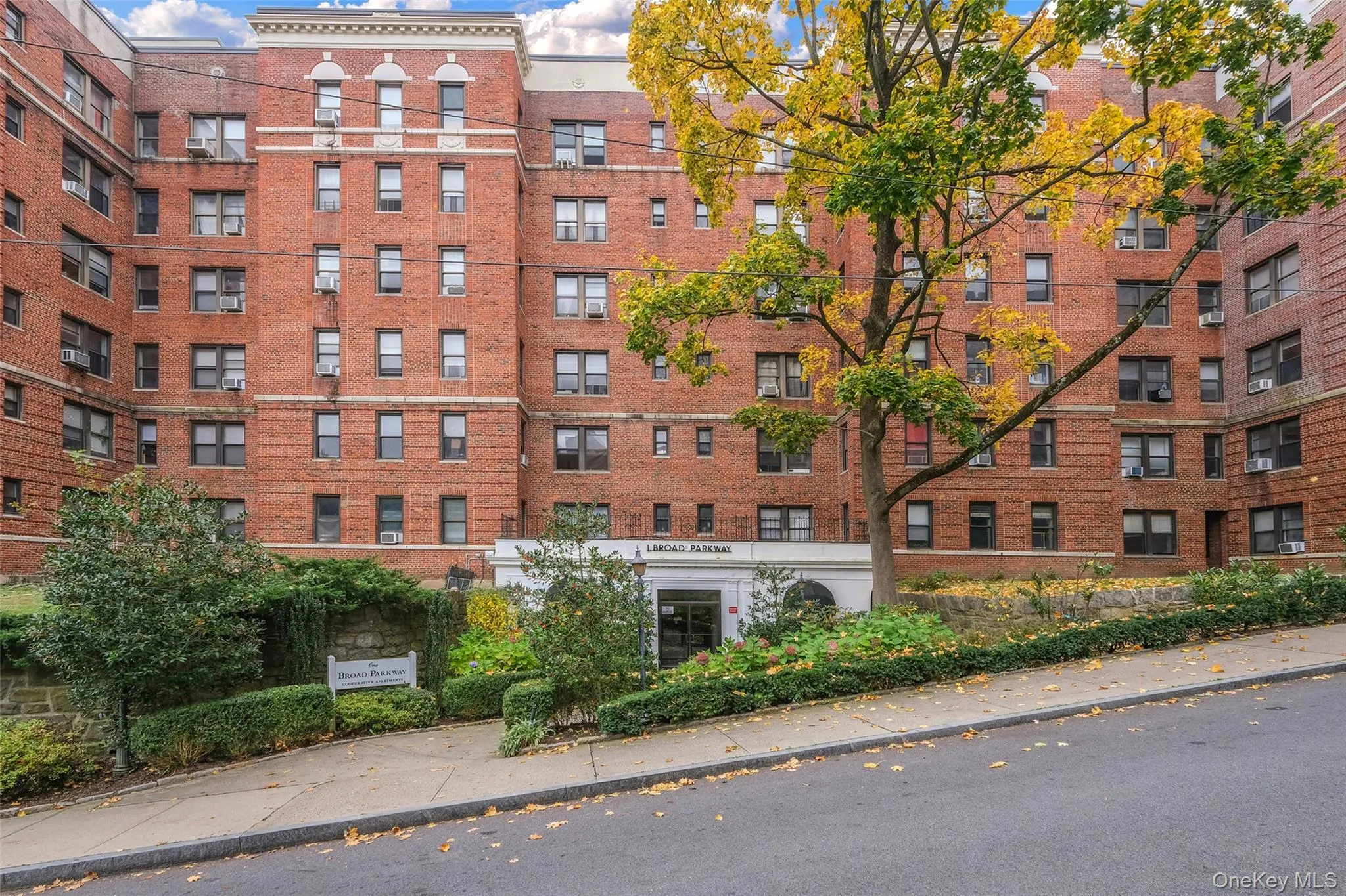 1 Broad Parkway, White Plains, NY, 1 Bedroom Bedrooms, 3 Rooms Rooms,1 BathroomBathrooms,Residential Lease,For Rent,Broad Parkway,0,1055054 1 Broad Parkway, White Plains, NY, 1 Bedroom Bedrooms, 3 Rooms Rooms,1 BathroomBathrooms,Residential Lease,For Rent,Broad Parkway,0,1055054