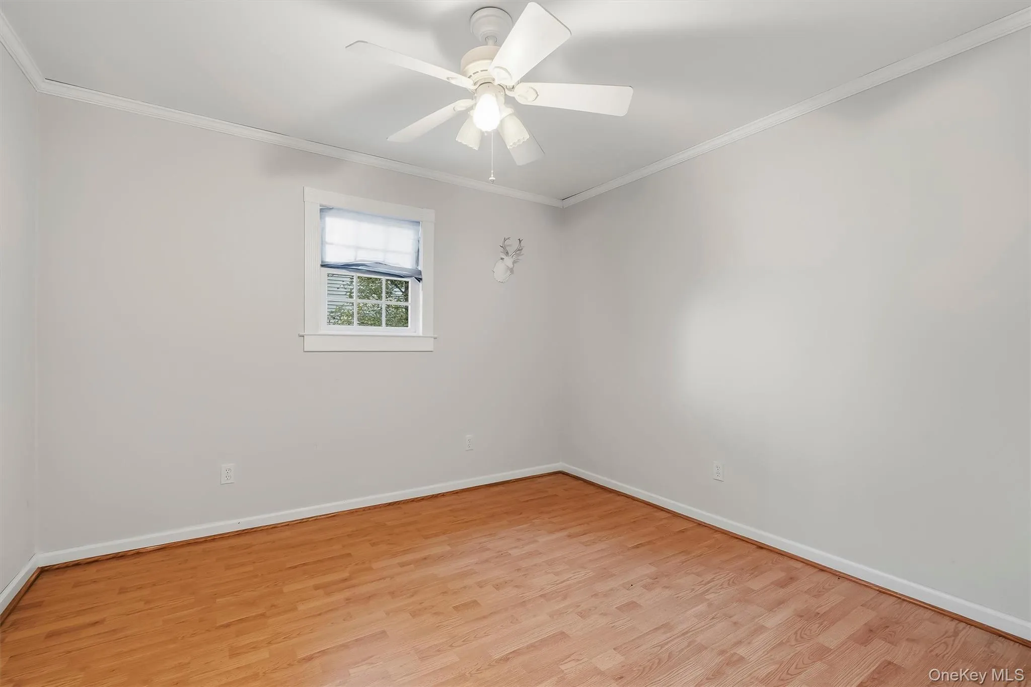 514 Round Lake Park Road, Monroe, NY, 3 Bedrooms Bedrooms, 8 Rooms Rooms,2 BathroomsBathrooms,Residential,For Rent,Round Lake Park,0,1055089 514 Round Lake Park Road, Monroe, NY, 3 Bedrooms Bedrooms, 8 Rooms Rooms,2 BathroomsBathrooms,Residential,For Rent,Round Lake Park,0,1055089