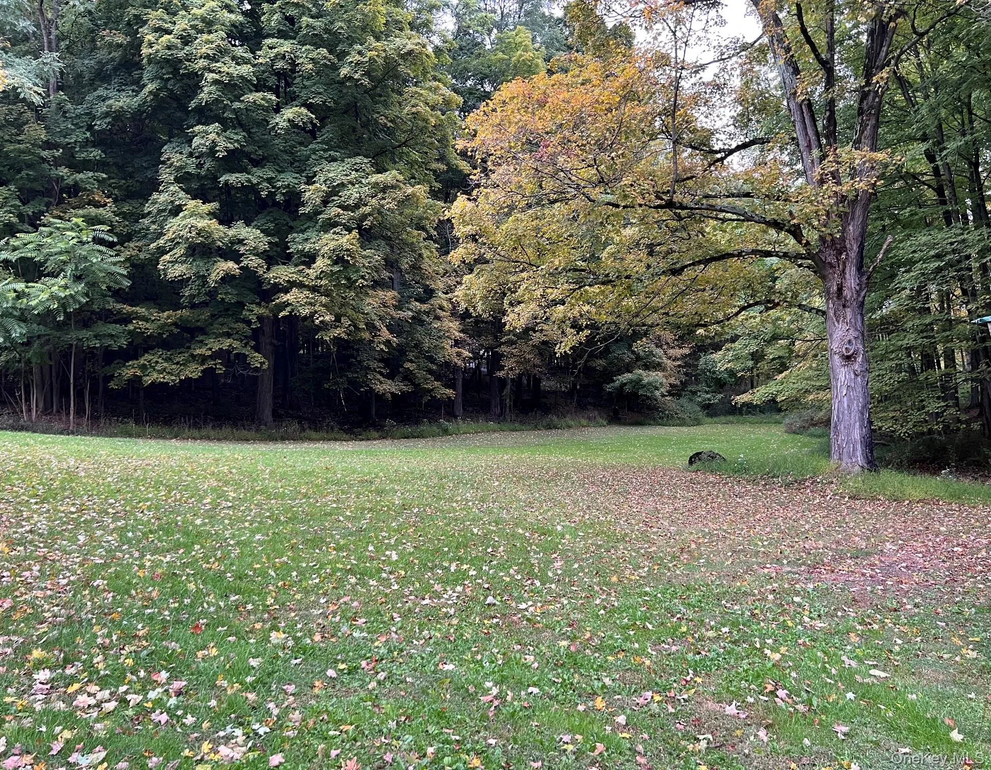358 Verbank Road, Washington, NY, 2 Bedrooms Bedrooms, 5 Rooms Rooms,1 BathroomBathrooms,Residential Lease,For Rent,Verbank,0,1055151 358 Verbank Road, Washington, NY, 2 Bedrooms Bedrooms, 5 Rooms Rooms,1 BathroomBathrooms,Residential Lease,For Rent,Verbank,0,1055151