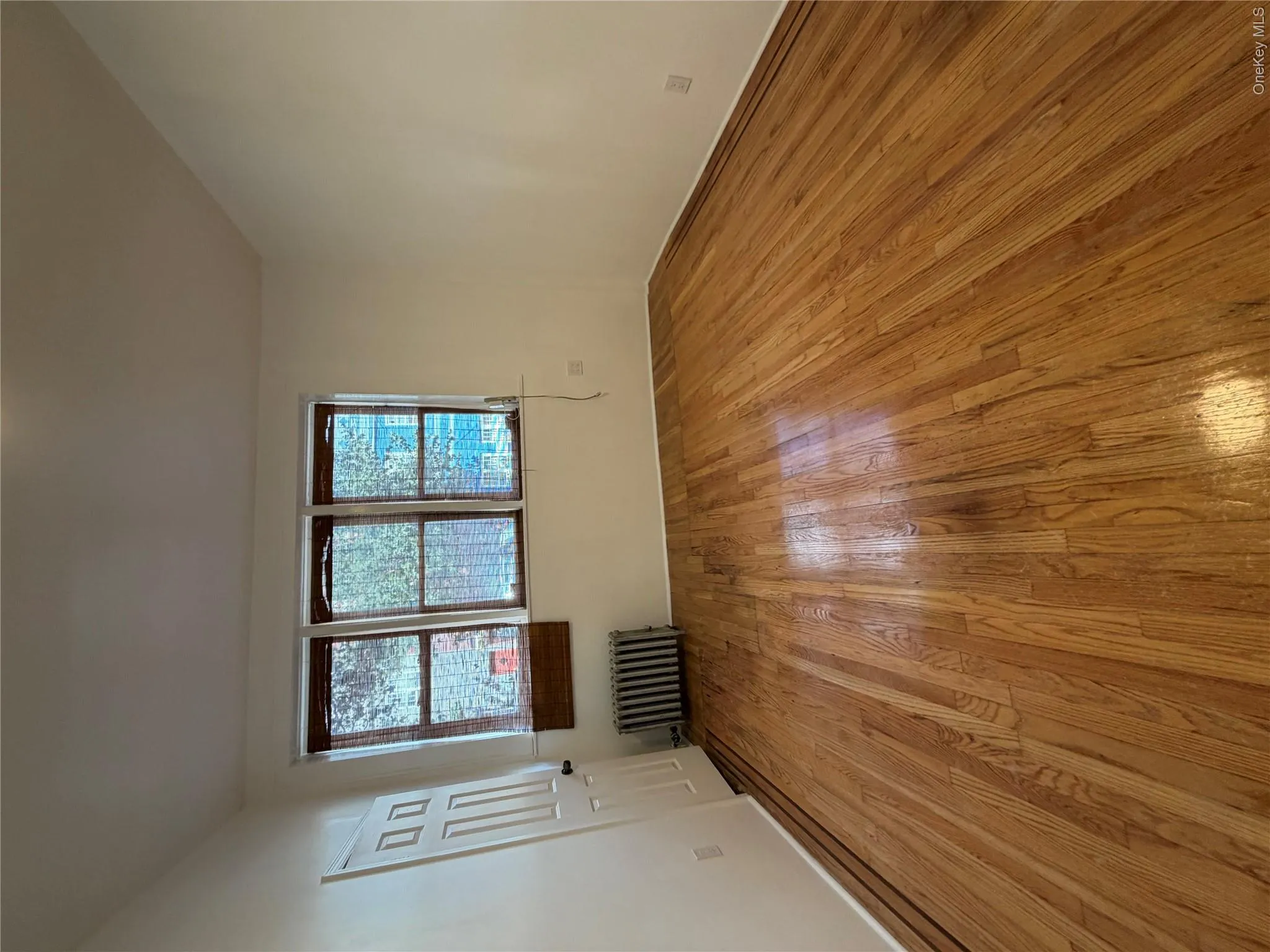 900 Glenmore Avenue, New York, NY, 3 Bedroom Bedrooms, 5 Room Rooms,1 BathroomBathrooms,Residential Lease,For Rent,Glenmore,0,1055169 900 Glenmore Avenue, New York, NY, 3 Bedroom Bedrooms, 5 Room Rooms,1 BathroomBathrooms,Residential Lease,For Rent,Glenmore,0,1055169