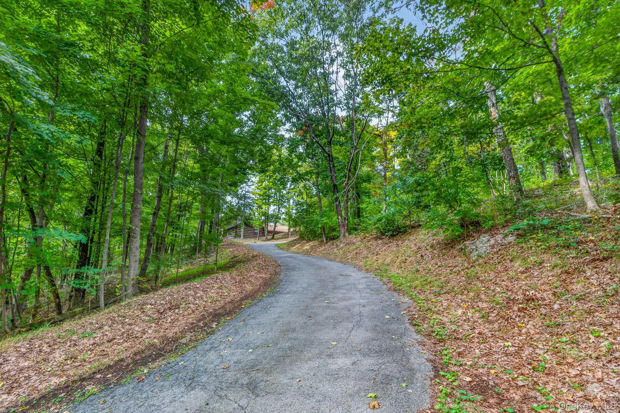 Gently winding private driveway on the 16 acre property. Gently winding private driveway on the 16 acre property.