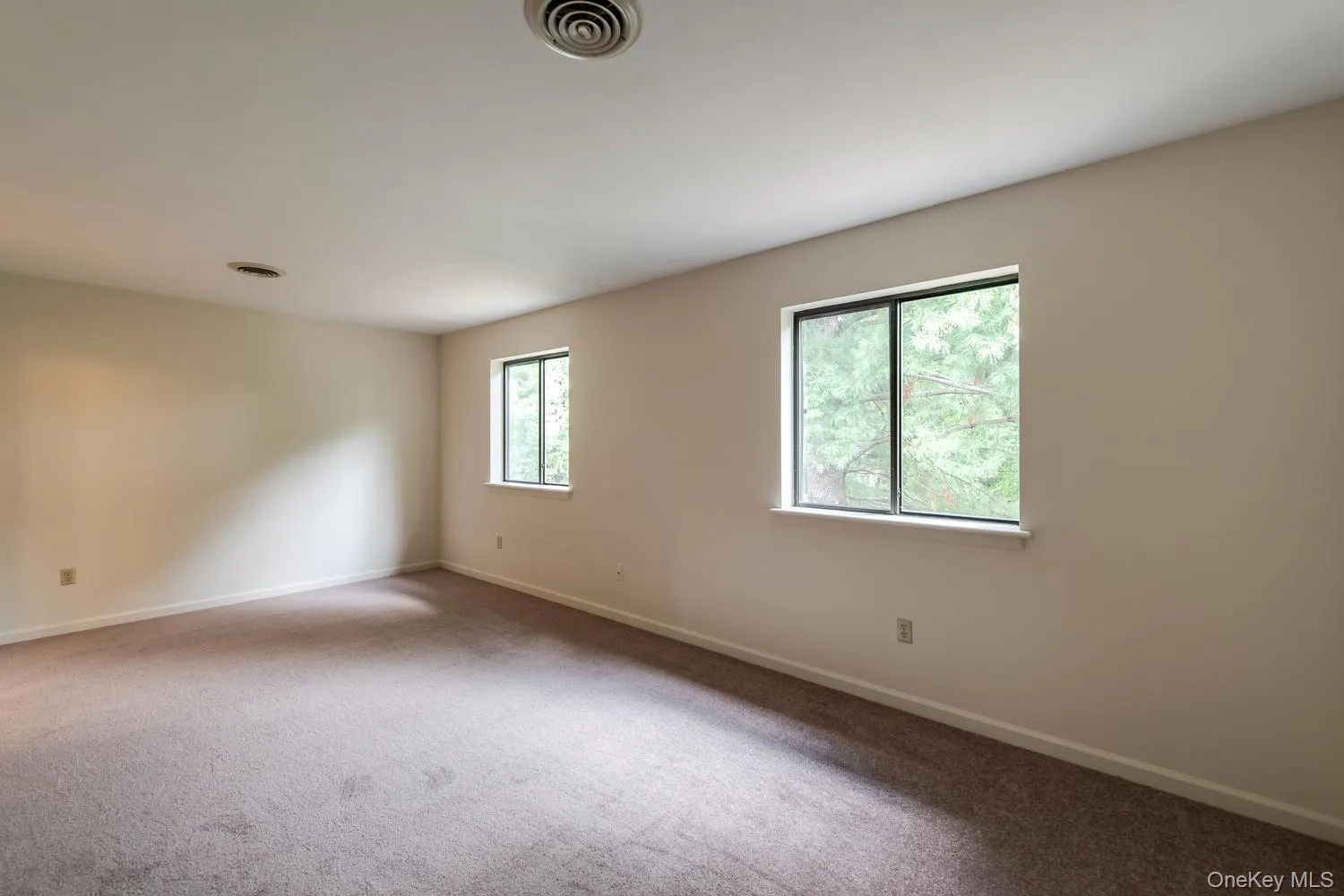 Brand new carpeting Brand new carpeting