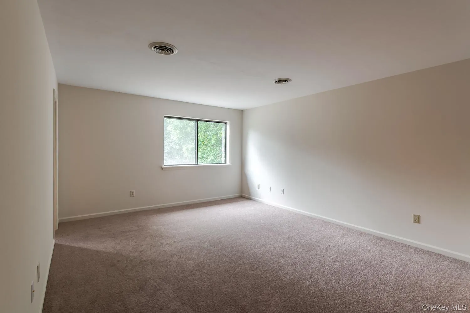 New carpeting New carpeting