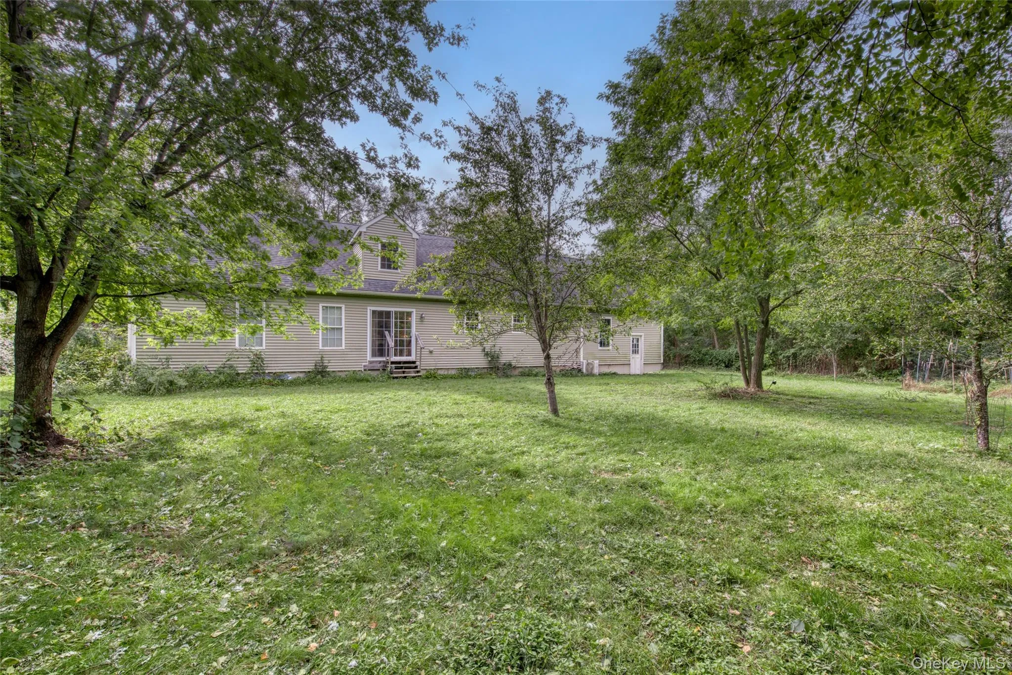 Expansive grassy yard with mature trees Expansive grassy yard with mature trees