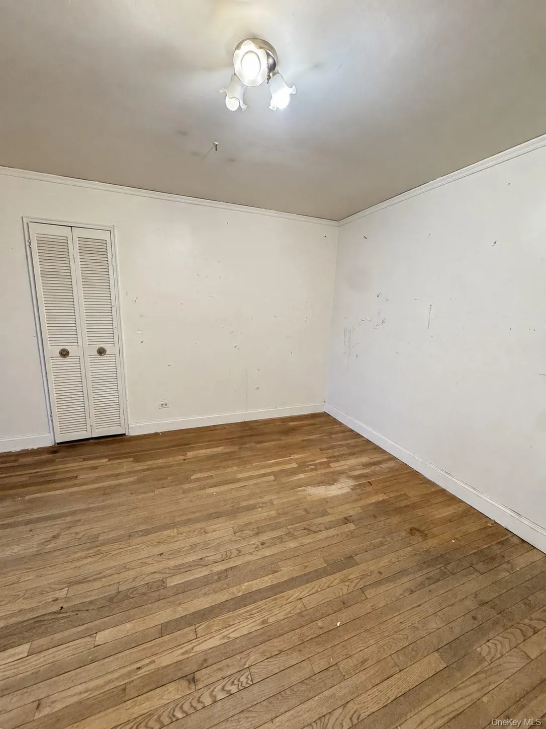31-90 140th Street, New York, NY, 1 Bedroom Bedrooms, 3 Rooms Rooms,1 BathroomBathrooms,Residential,For Rent,140th,0,1055319 31-90 140th Street, New York, NY, 1 Bedroom Bedrooms, 3 Rooms Rooms,1 BathroomBathrooms,Residential,For Rent,140th,0,1055319
