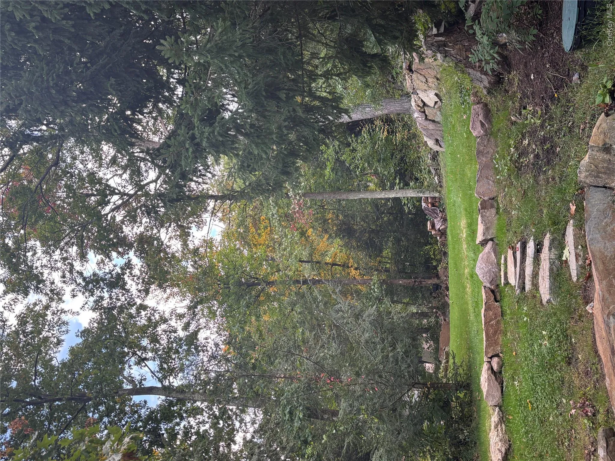 Spacious side yard perfect for all of your outdoor activities, including playing with your family pet Spacious side yard perfect for all of your outdoor activities, including playing with your family pet