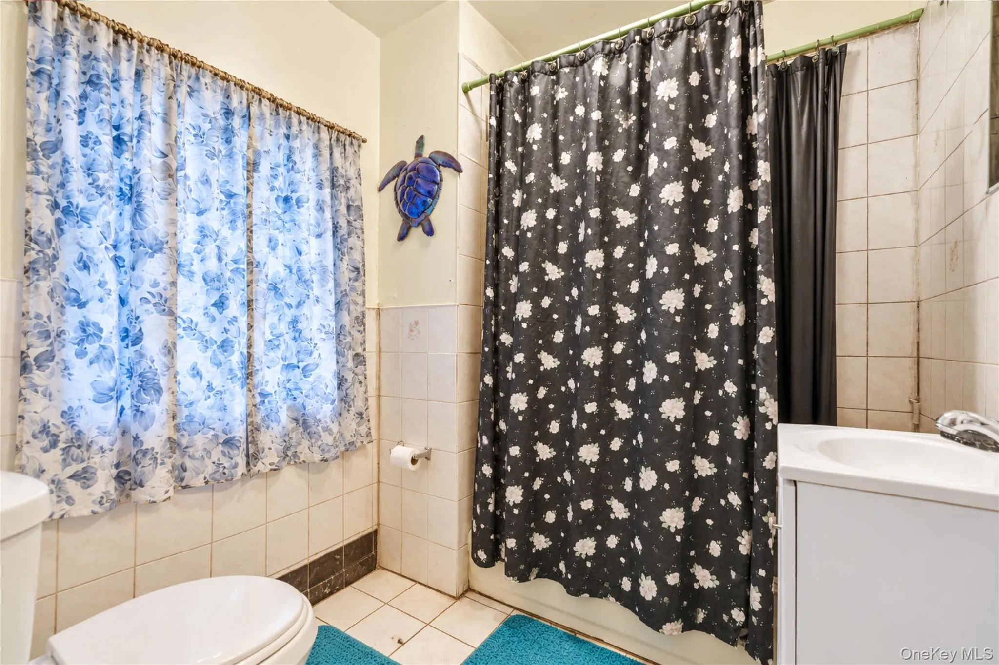 243 Schenck Avenue, New York, NY, 3 Bedrooms Bedrooms, 5 Rooms Rooms,1 BathroomBathrooms,Residential,For Rent,Schenck,0,1055375 243 Schenck Avenue, New York, NY, 3 Bedrooms Bedrooms, 5 Rooms Rooms,1 BathroomBathrooms,Residential,For Rent,Schenck,0,1055375