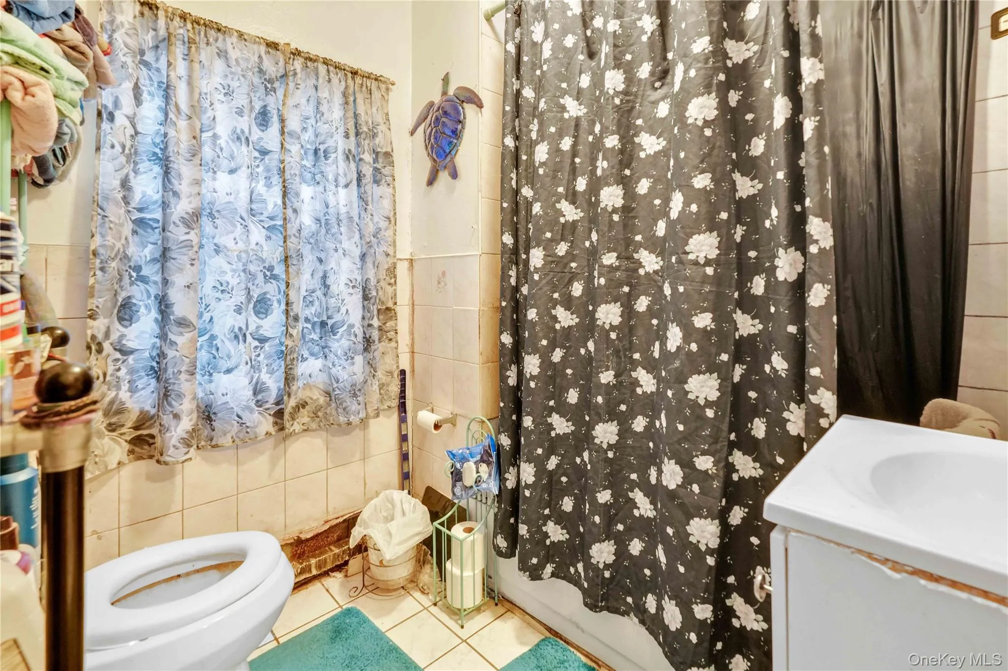 243 Schenck Avenue, New York, NY, 3 Bedrooms Bedrooms, 5 Rooms Rooms,1 BathroomBathrooms,Residential,For Rent,Schenck,0,1055375 243 Schenck Avenue, New York, NY, 3 Bedrooms Bedrooms, 5 Rooms Rooms,1 BathroomBathrooms,Residential,For Rent,Schenck,0,1055375