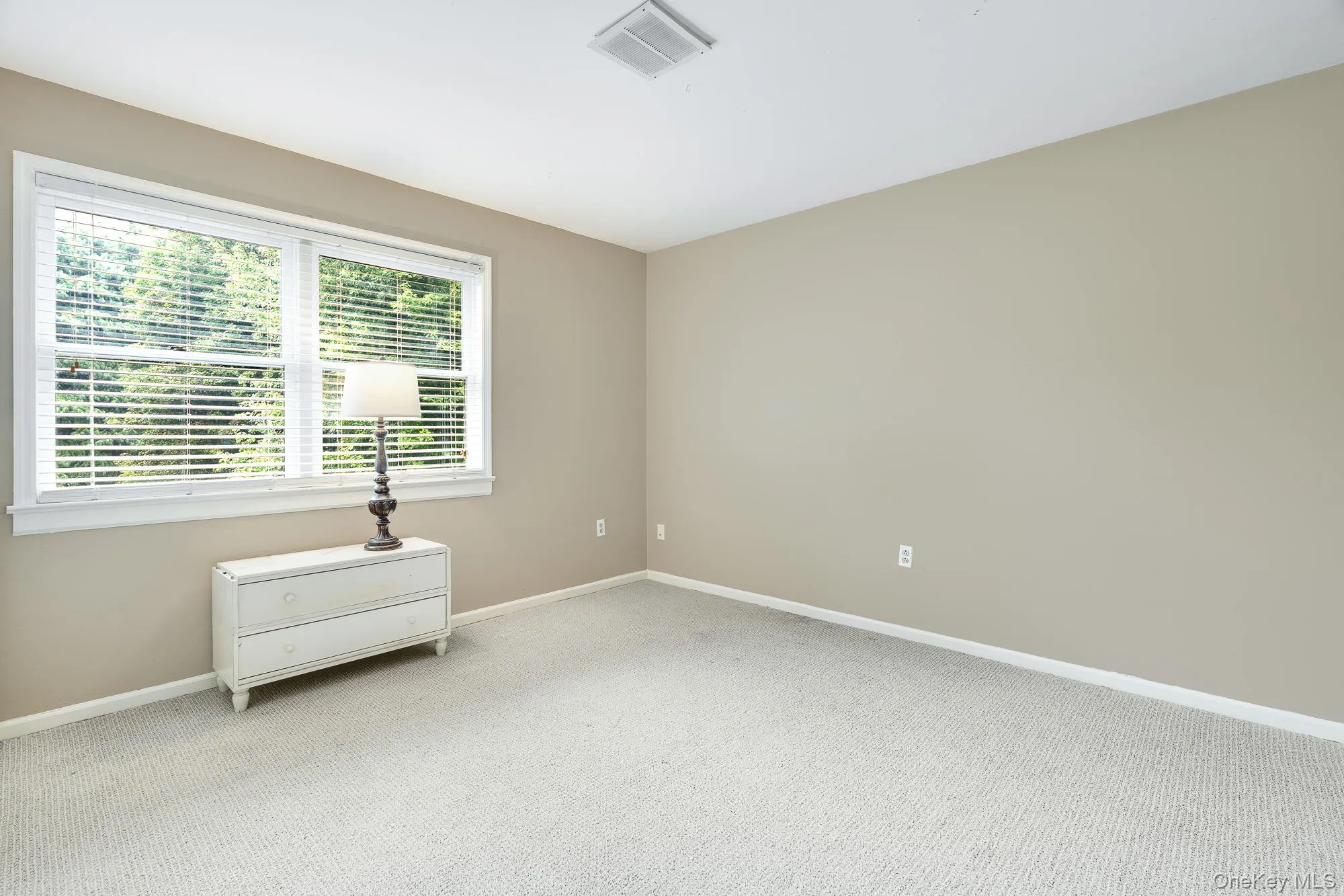 Carpeted empty room with baseboards Carpeted empty room with baseboards