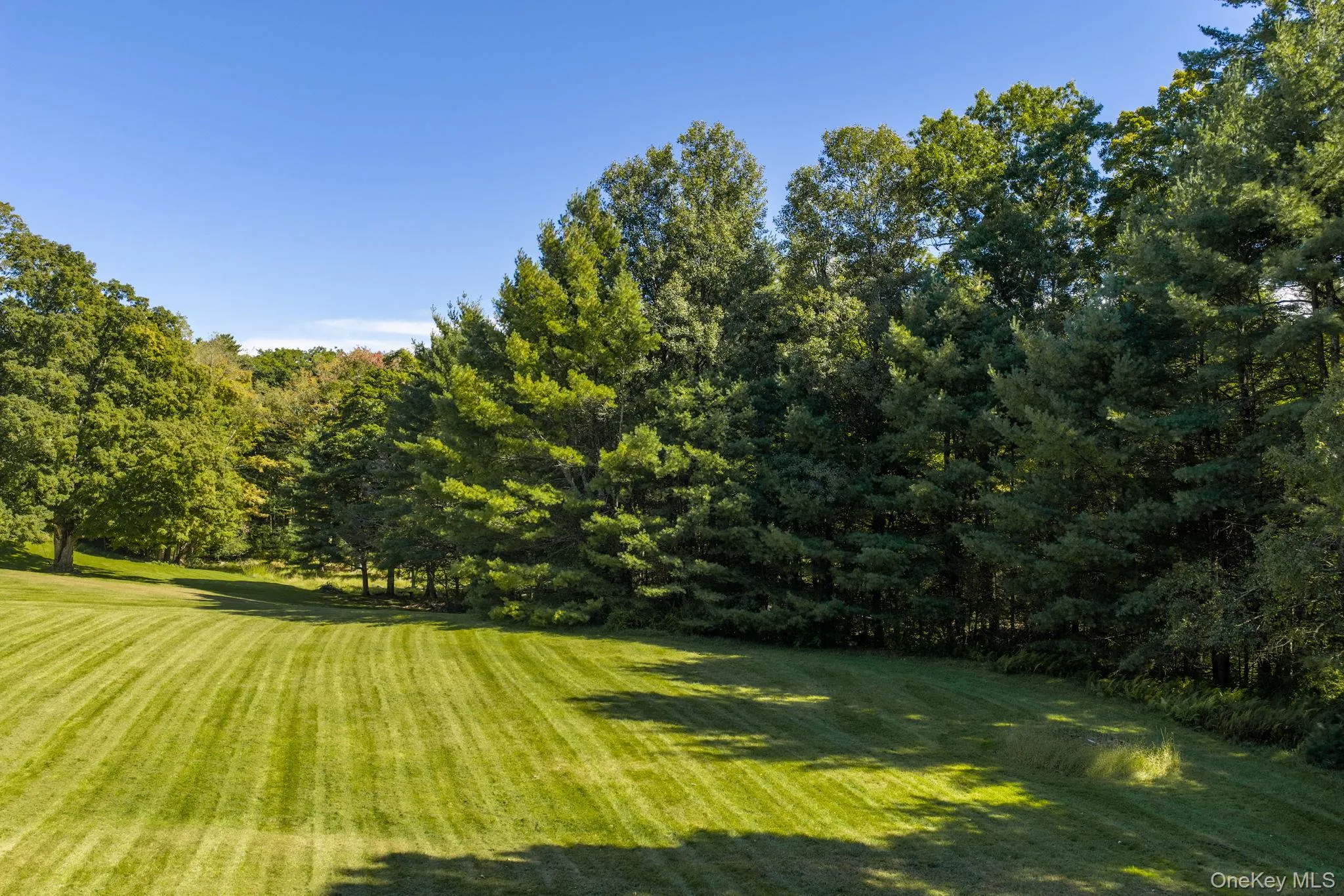 24 Wolf Lake Road, Thompson, NY, 3 Bedrooms Bedrooms, 8 Rooms Rooms,2 BathroomsBathrooms,Residential,For Rent,Wolf Lake,0,1055414 24 Wolf Lake Road, Thompson, NY, 3 Bedrooms Bedrooms, 8 Rooms Rooms,2 BathroomsBathrooms,Residential,For Rent,Wolf Lake,0,1055414