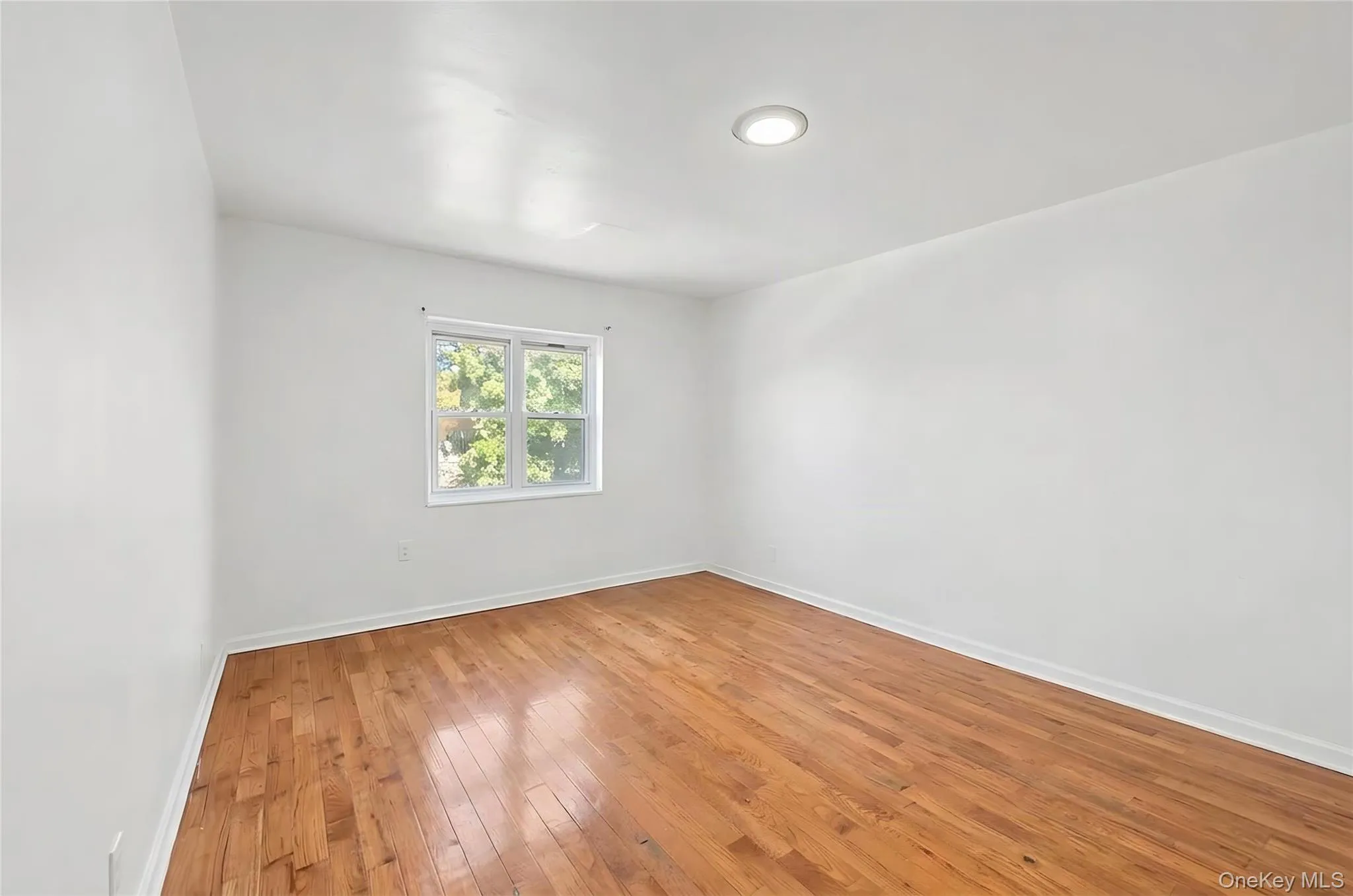 3312 Paulding Avenue, New York, NY, 3 Bedrooms Bedrooms, 6 Rooms Rooms,2 BathroomsBathrooms,Residential,For Rent,Paulding,0,1055463 3312 Paulding Avenue, New York, NY, 3 Bedrooms Bedrooms, 6 Rooms Rooms,2 BathroomsBathrooms,Residential,For Rent,Paulding,0,1055463