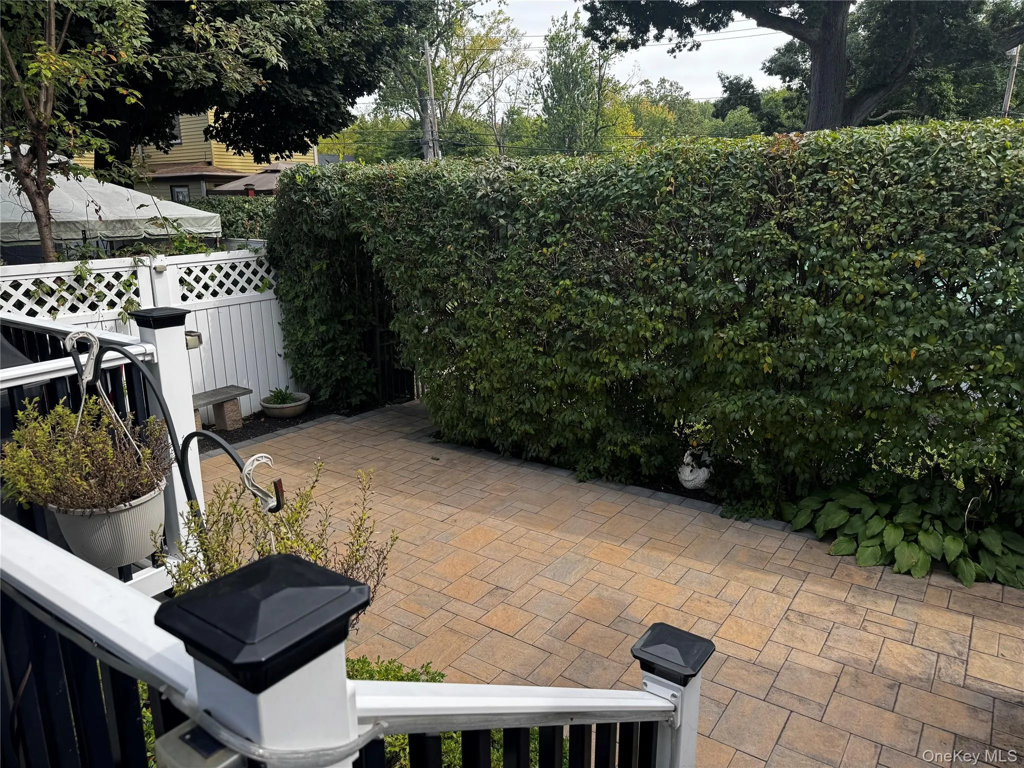 Paver patio with a tall privacy hedge and lattice fencing Paver patio with a tall privacy hedge and lattice fencing
