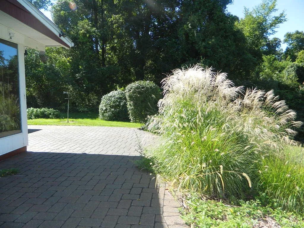 107 Orchard Lane, East Fishkill, NY, 3 Bedrooms Bedrooms, 9 Rooms Rooms,2 BathroomsBathrooms,Residential,For Rent,Orchard,0,1055552 107 Orchard Lane, East Fishkill, NY, 3 Bedrooms Bedrooms, 9 Rooms Rooms,2 BathroomsBathrooms,Residential,For Rent,Orchard,0,1055552
