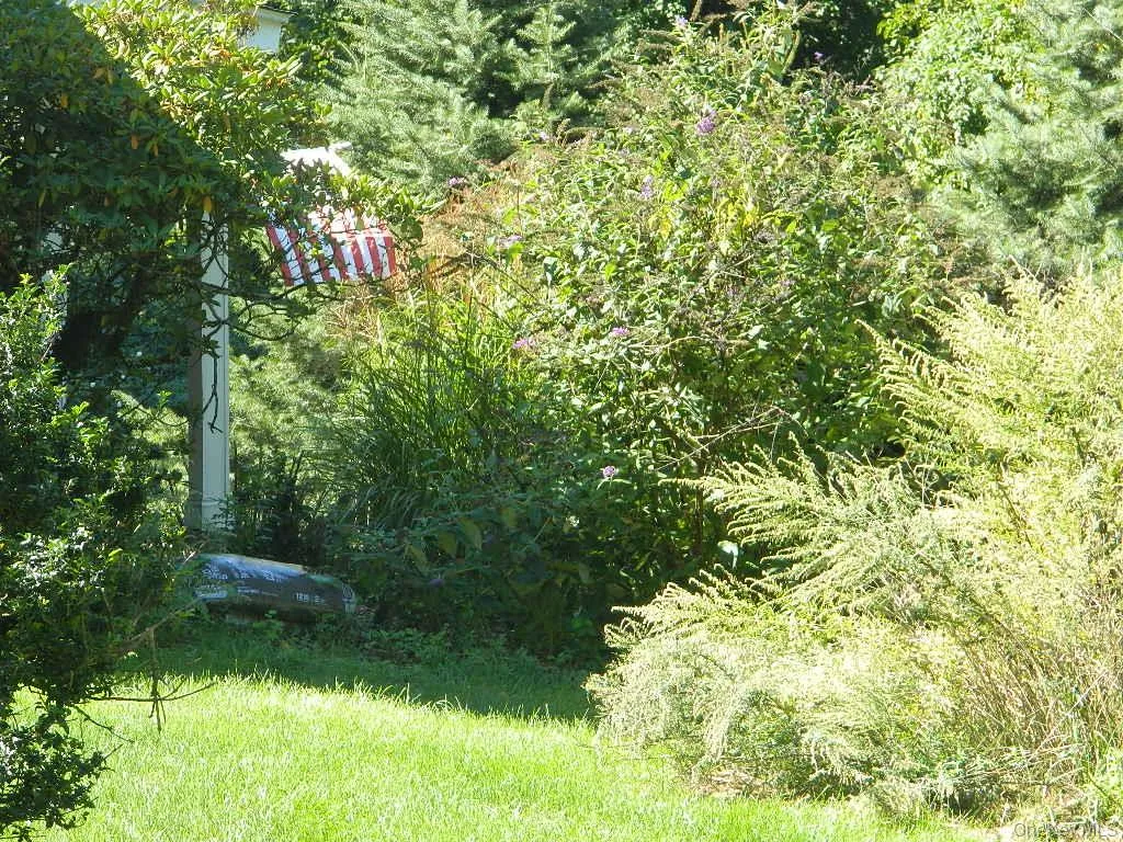107 Orchard Lane, East Fishkill, NY, 3 Bedrooms Bedrooms, 9 Rooms Rooms,2 BathroomsBathrooms,Residential,For Rent,Orchard,0,1055552 107 Orchard Lane, East Fishkill, NY, 3 Bedrooms Bedrooms, 9 Rooms Rooms,2 BathroomsBathrooms,Residential,For Rent,Orchard,0,1055552