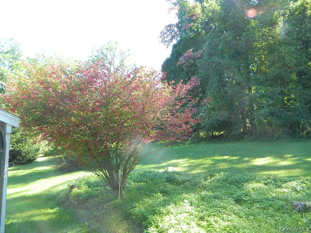107 Orchard Lane, East Fishkill, NY, 3 Bedrooms Bedrooms, 9 Rooms Rooms,2 BathroomsBathrooms,Residential,For Rent,Orchard,0,1055552 107 Orchard Lane, East Fishkill, NY, 3 Bedrooms Bedrooms, 9 Rooms Rooms,2 BathroomsBathrooms,Residential,For Rent,Orchard,0,1055552
