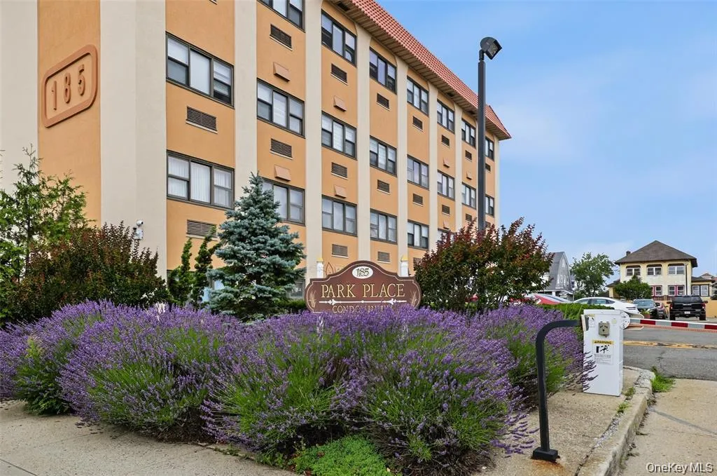 185 Park Avenue, Long Beach, NY, 1 Bedroom Bedrooms, 3 Rooms Rooms,1 BathroomBathrooms,Residential Lease,For Rent,Park,0,1055554 185 Park Avenue, Long Beach, NY, 1 Bedroom Bedrooms, 3 Rooms Rooms,1 BathroomBathrooms,Residential Lease,For Rent,Park,0,1055554