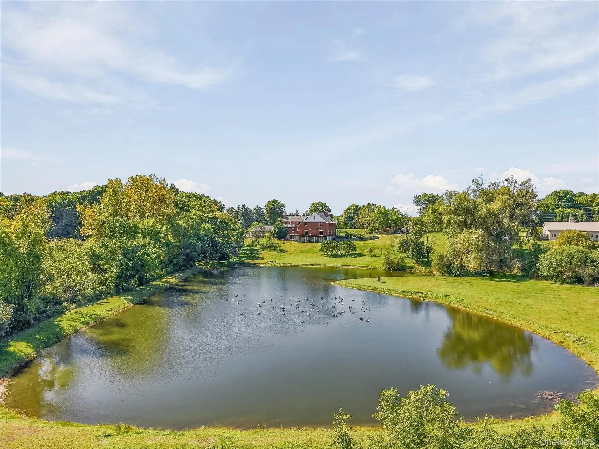 3534 Route 82, Washington, NY, 4 Bedrooms Bedrooms, 9 Rooms Rooms,6 BathroomsBathrooms,Residential,For Rent,Route 82,0,1055563 3534 Route 82, Washington, NY, 4 Bedrooms Bedrooms, 9 Rooms Rooms,6 BathroomsBathrooms,Residential,For Rent,Route 82,0,1055563