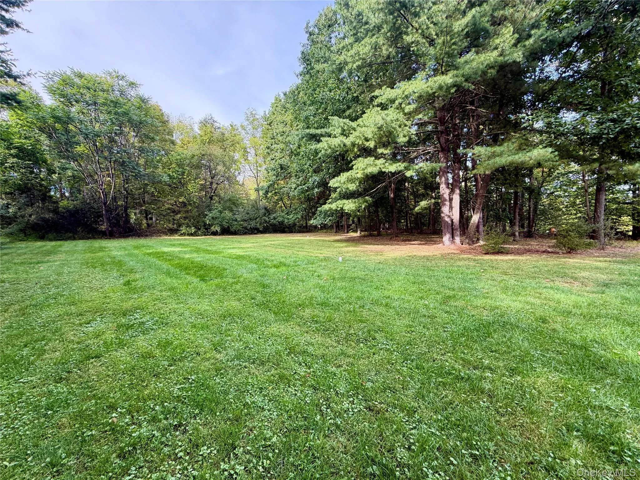 Flat and usable back yard nearly completely private and room for a pool! Flat and usable back yard nearly completely private and room for a pool!