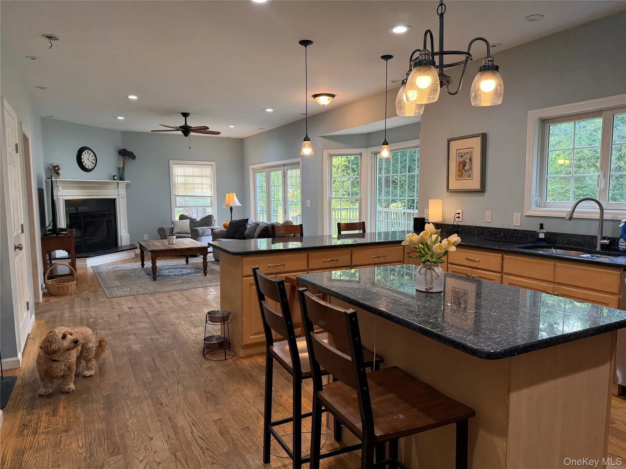 Open concept kitchen with large island, stone countertops, loads of storage and stone countertops. Open concept kitchen with large island, stone countertops, loads of storage and stone countertops.