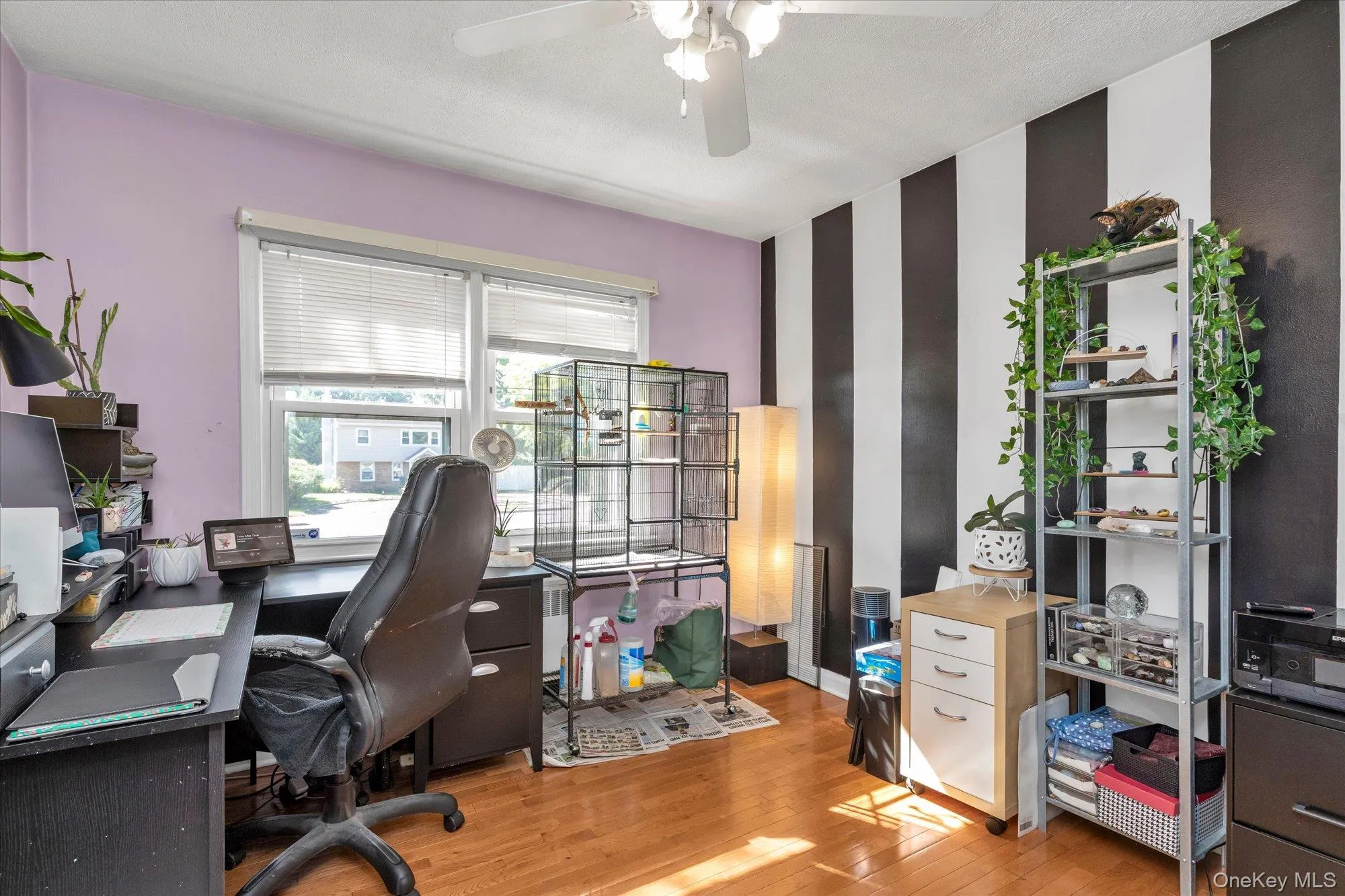 3265 Brower Avenue, Hempstead, NY, 3 Bedrooms Bedrooms, 8 Rooms Rooms,2 BathroomsBathrooms,Residential,For Rent,Brower,0,1055568 3265 Brower Avenue, Hempstead, NY, 3 Bedrooms Bedrooms, 8 Rooms Rooms,2 BathroomsBathrooms,Residential,For Rent,Brower,0,1055568