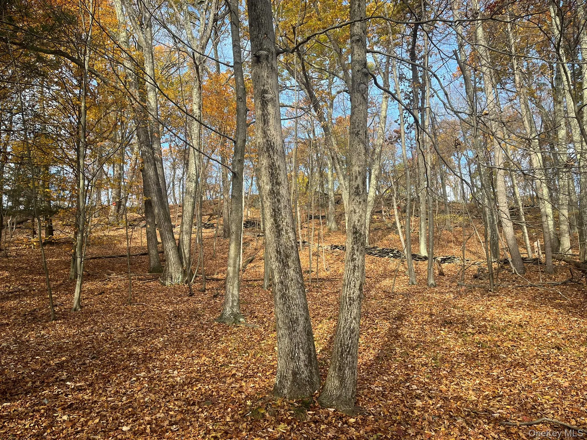0 Olsen Road, Milan, NY, 3 Bedrooms Bedrooms, 9 Rooms Rooms,2 BathroomsBathrooms,Residential,For Rent,Olsen,0,1055586 0 Olsen Road, Milan, NY, 3 Bedrooms Bedrooms, 9 Rooms Rooms,2 BathroomsBathrooms,Residential,For Rent,Olsen,0,1055586