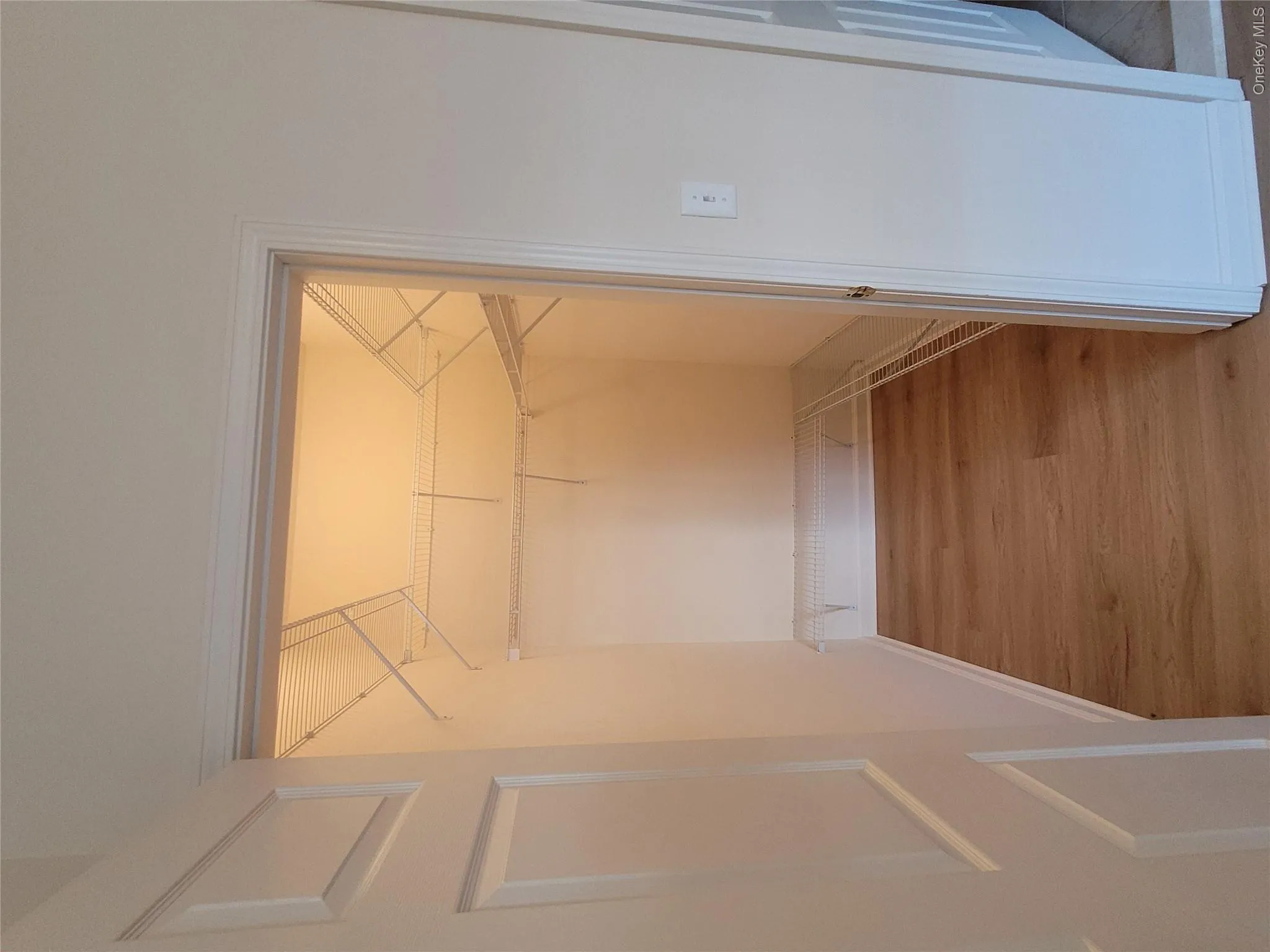 Primary BR walk in closet Primary BR walk in closet