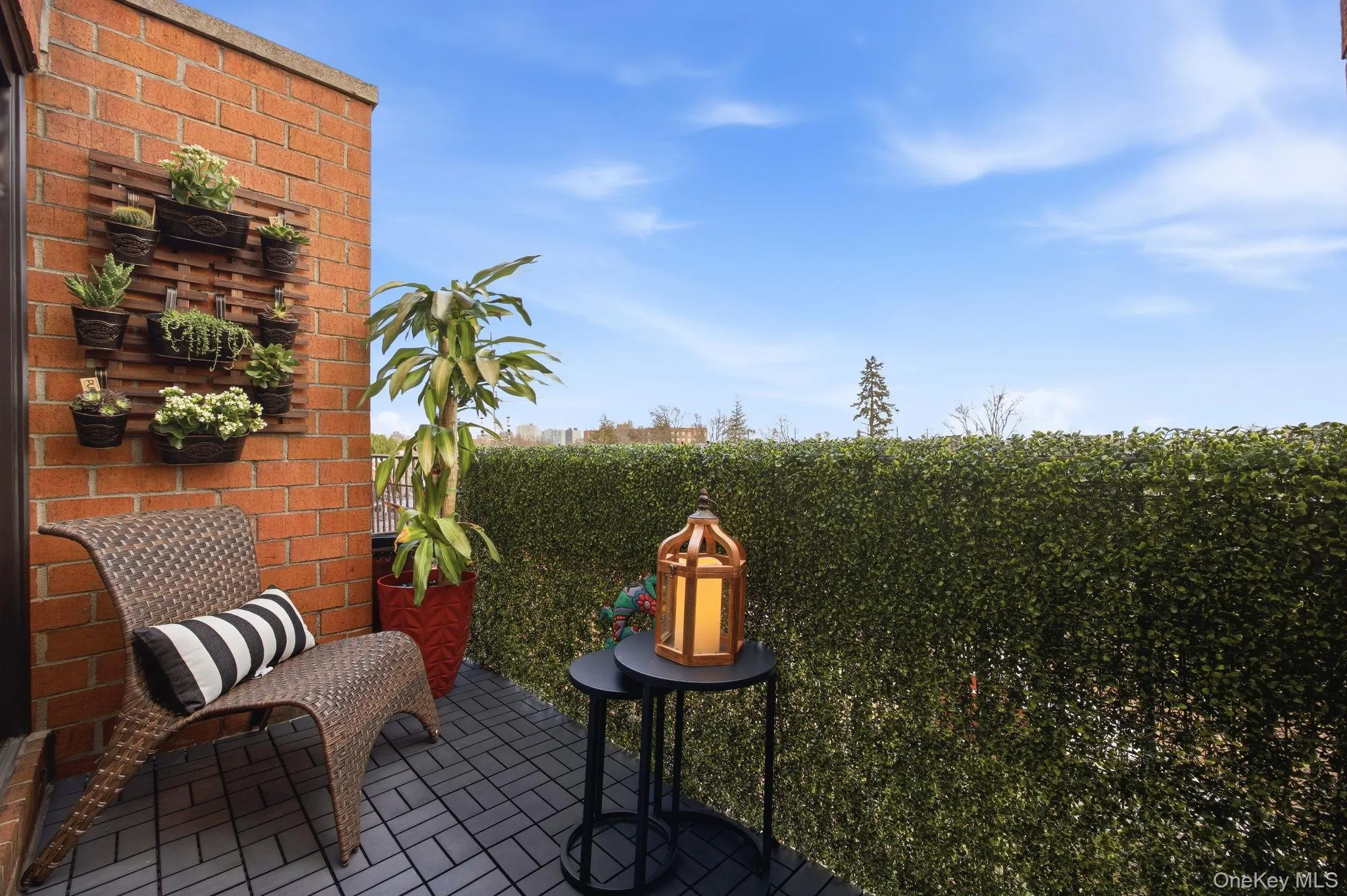 84-62 Austin Street, New York, NY, 1 Bedroom Bedrooms, 3 Rooms Rooms,1 BathroomBathrooms,Residential,For Rent,Austin,0,1055639 84-62 Austin Street, New York, NY, 1 Bedroom Bedrooms, 3 Rooms Rooms,1 BathroomBathrooms,Residential,For Rent,Austin,0,1055639