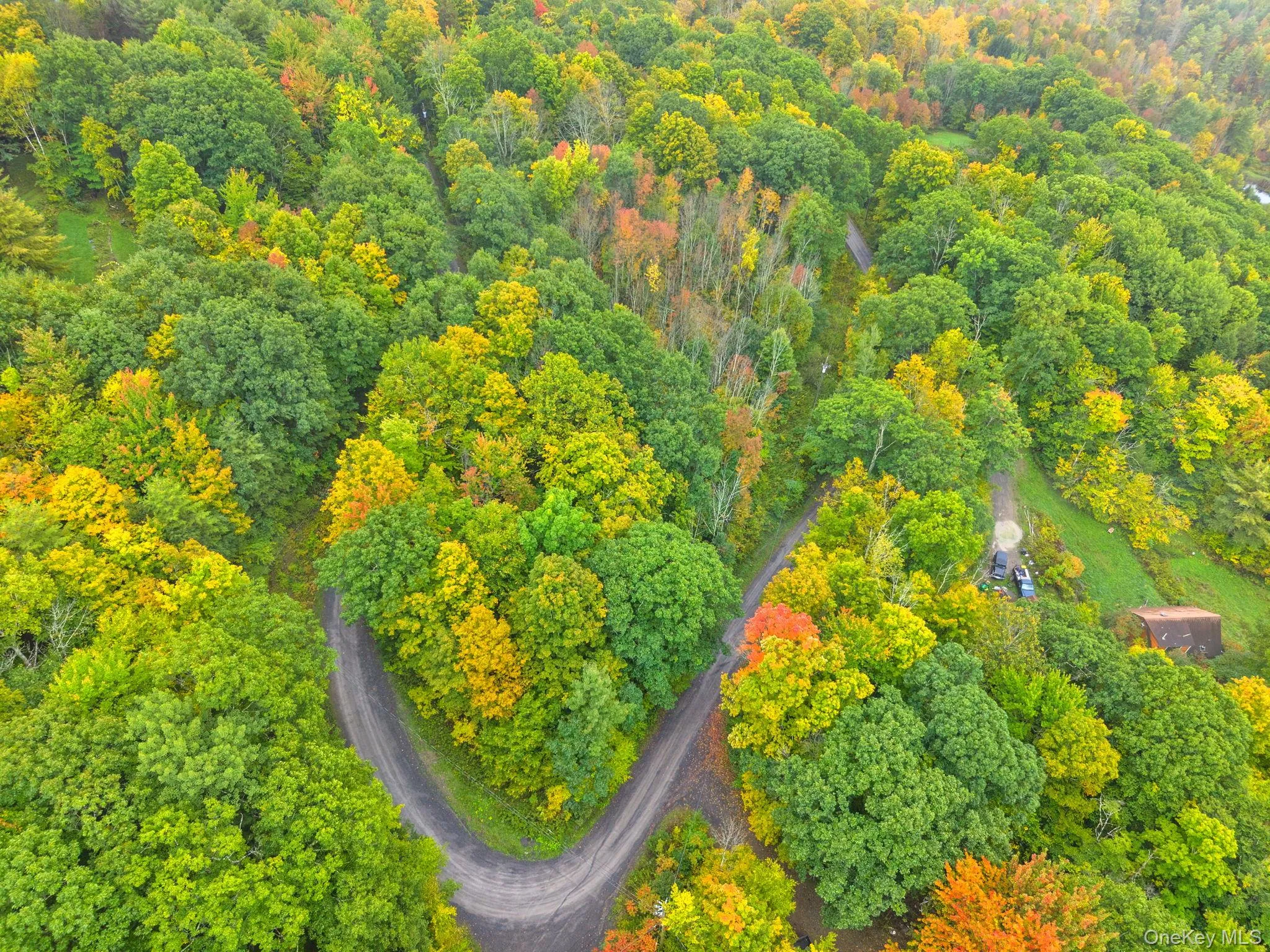 200 High Pine Meadows Rd Road, Out Of Area, NY, 3 Bedrooms Bedrooms, 8 Rooms Rooms,1 BathroomBathrooms,Residential,For Rent,High Pine Meadows Rd,0,1055651 200 High Pine Meadows Rd Road, Out Of Area, NY, 3 Bedrooms Bedrooms, 8 Rooms Rooms,1 BathroomBathrooms,Residential,For Rent,High Pine Meadows Rd,0,1055651