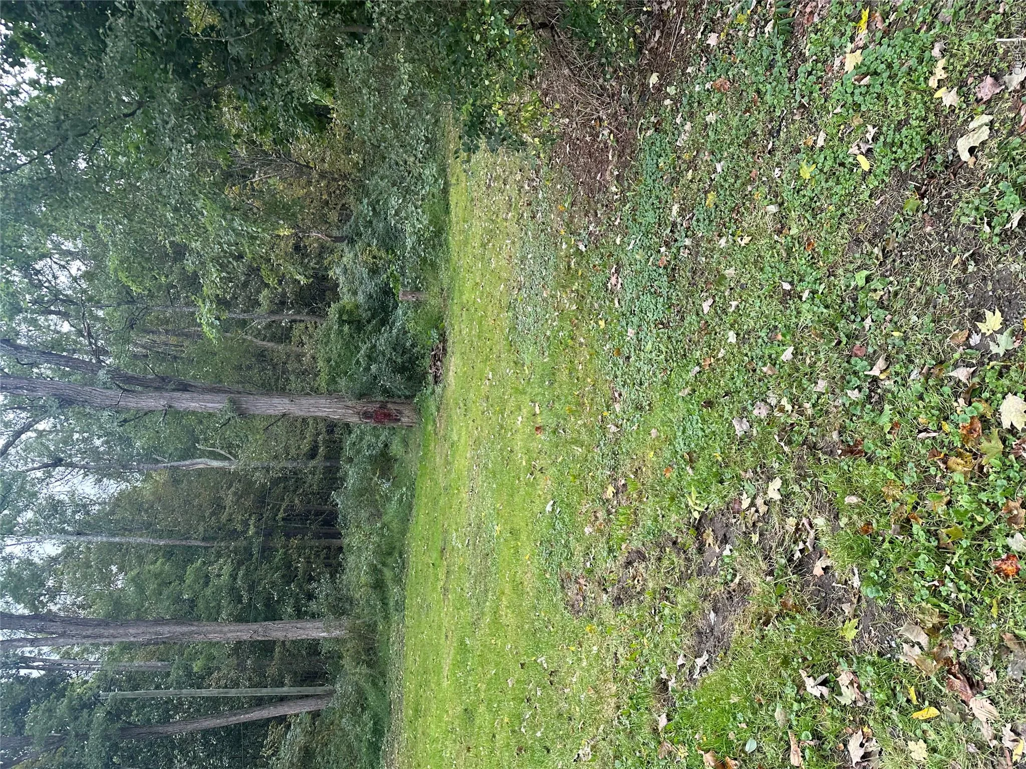 side yard side yard