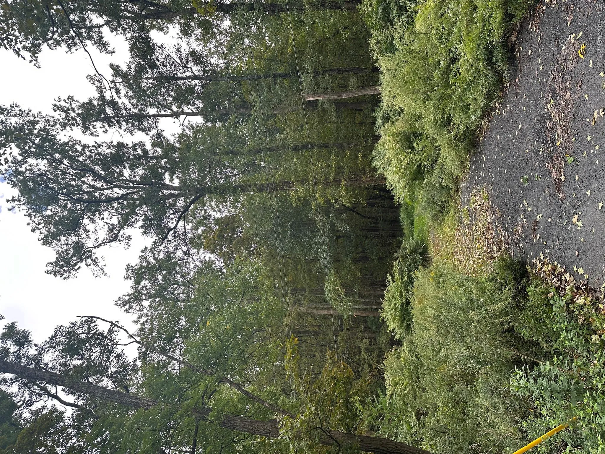 walking trail right next to the house walking trail right next to the house