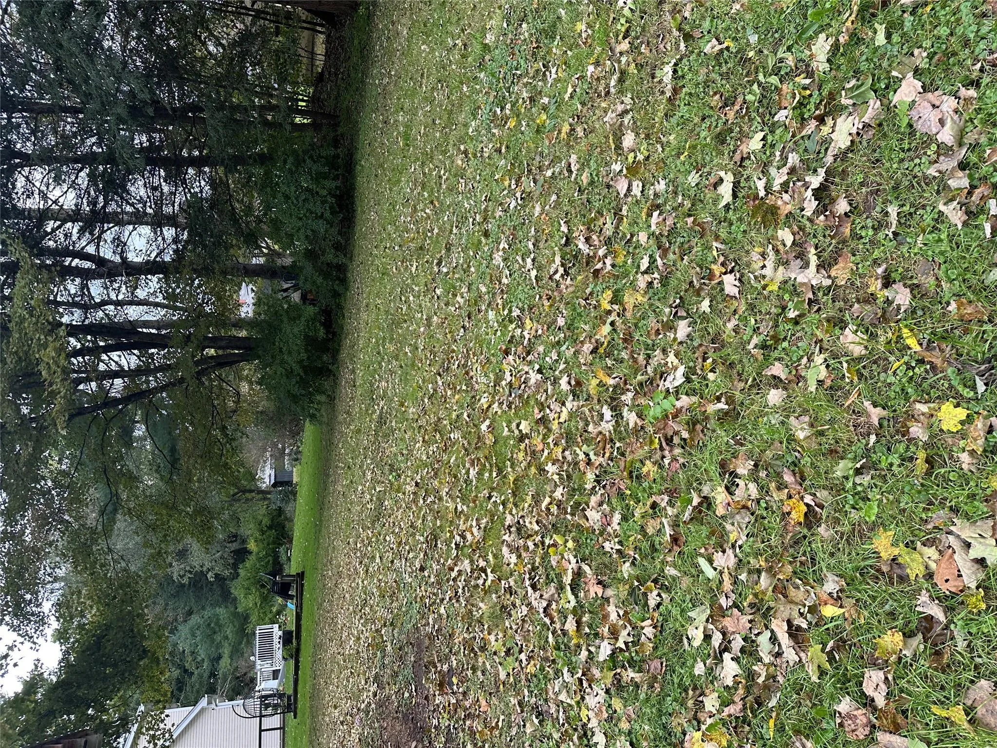back yard back yard