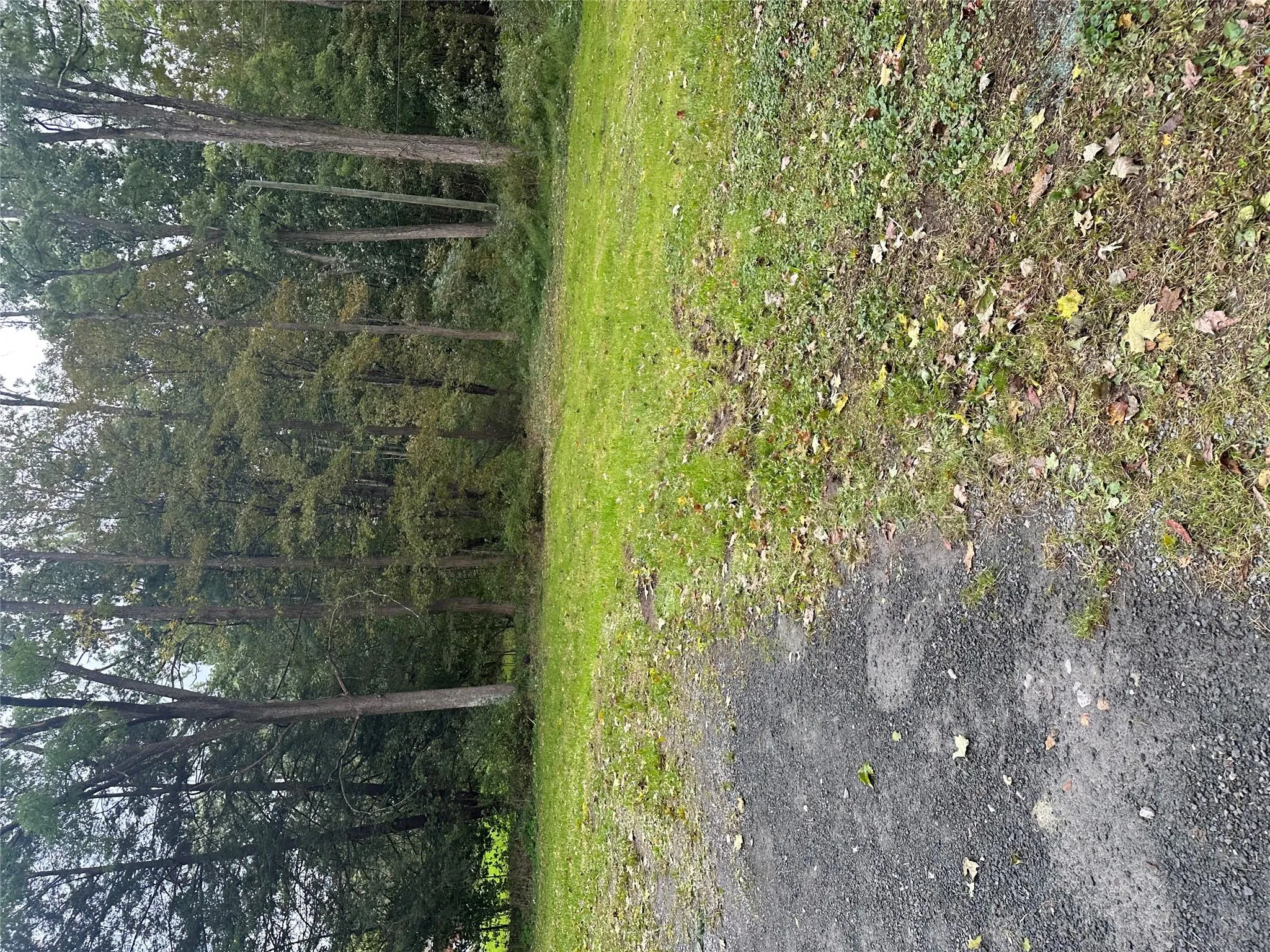 driveway driveway