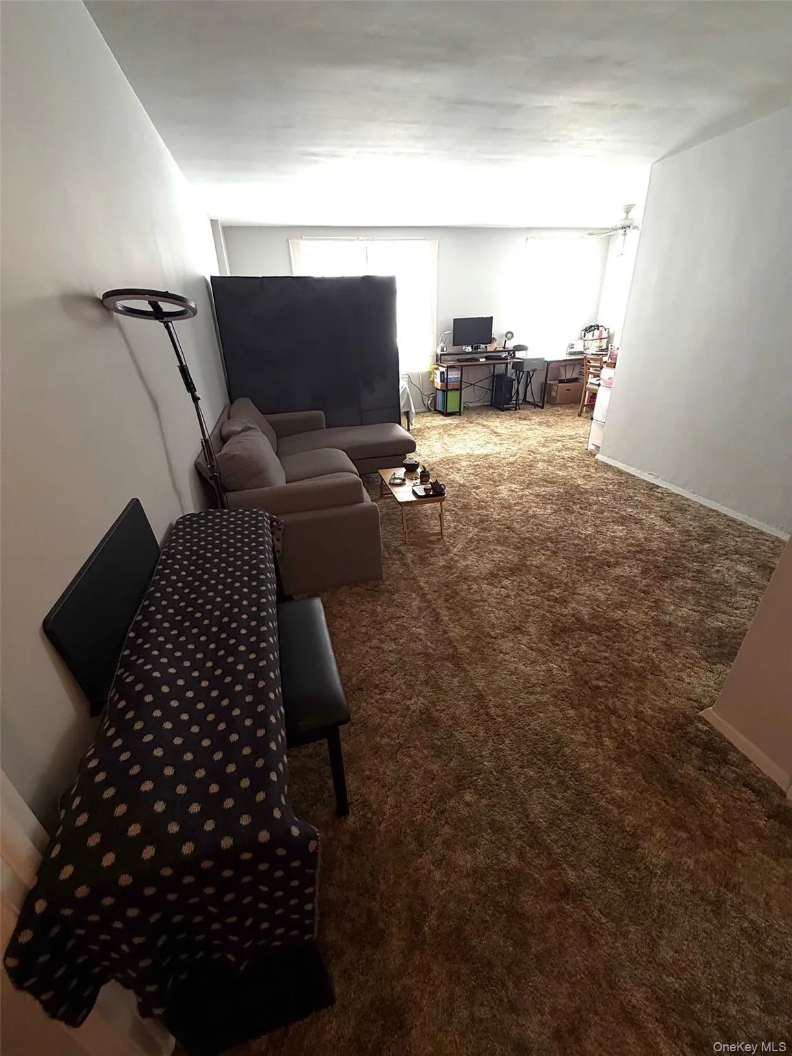 88-30 182nd Street, New York, NY, 3 Rooms Rooms,1 BathroomBathrooms,Residential,For Rent,182nd,0,1055662 88-30 182nd Street, New York, NY, 3 Rooms Rooms,1 BathroomBathrooms,Residential,For Rent,182nd,0,1055662